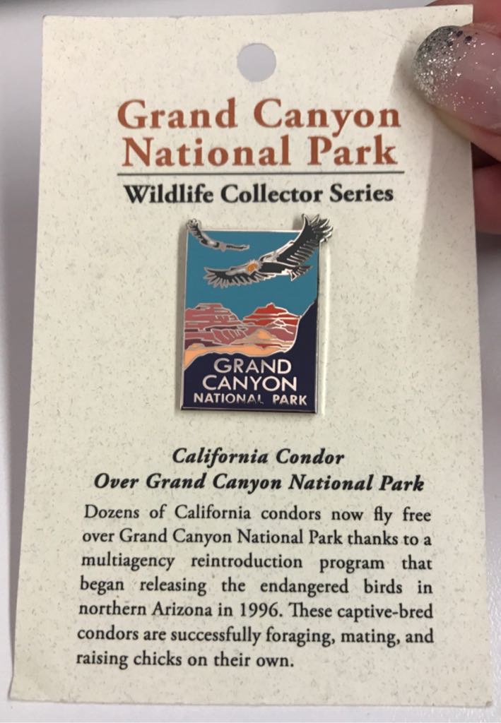 Chip & Dale - PWP Pocket Watch Pin Set