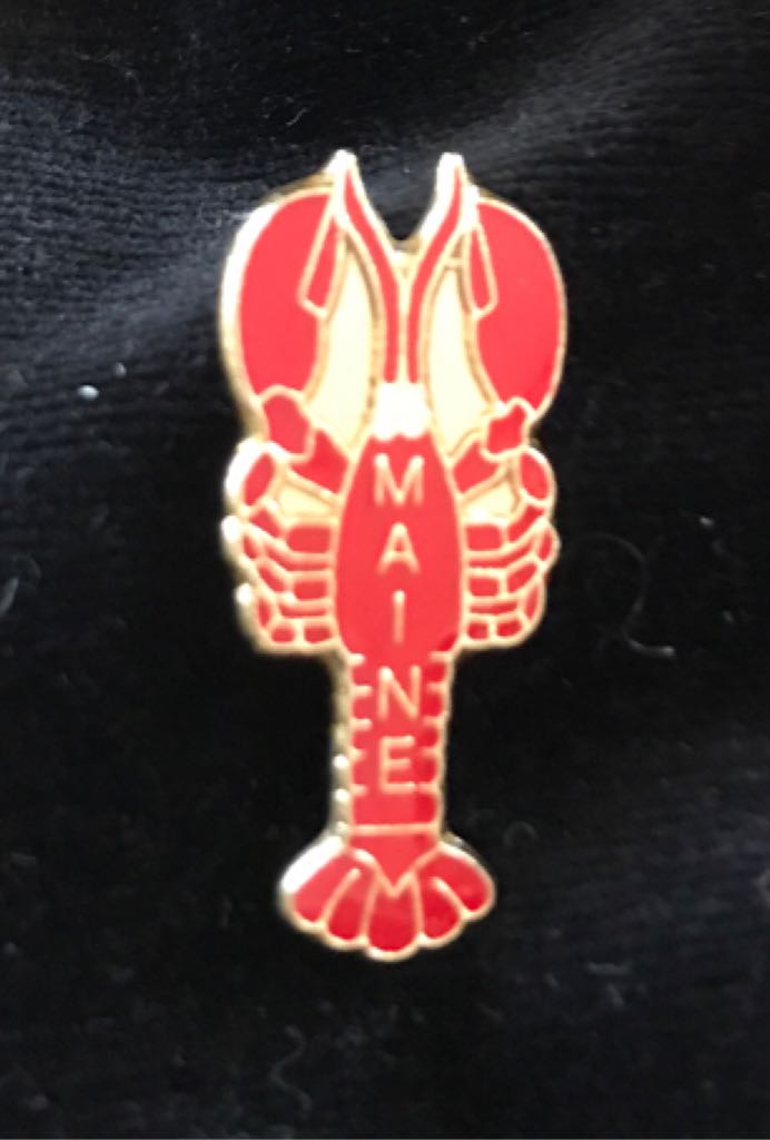 Hard Rock Cafe Nashvile Fall Skyline