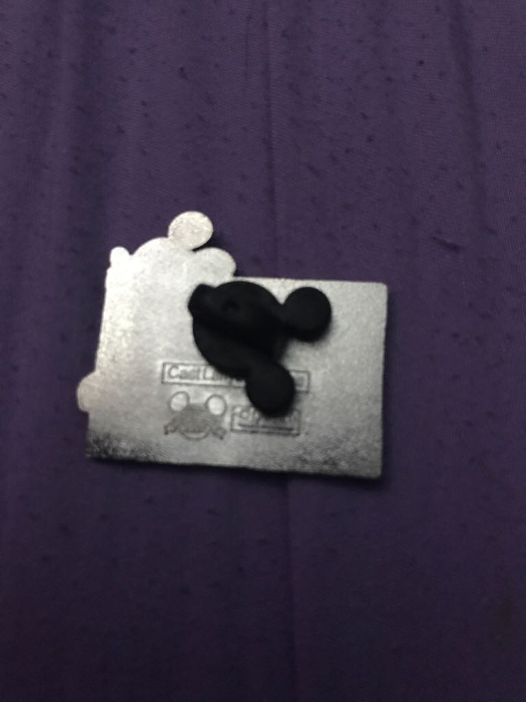 Disneyland B Coupon  pin collectible - Main Image 2
