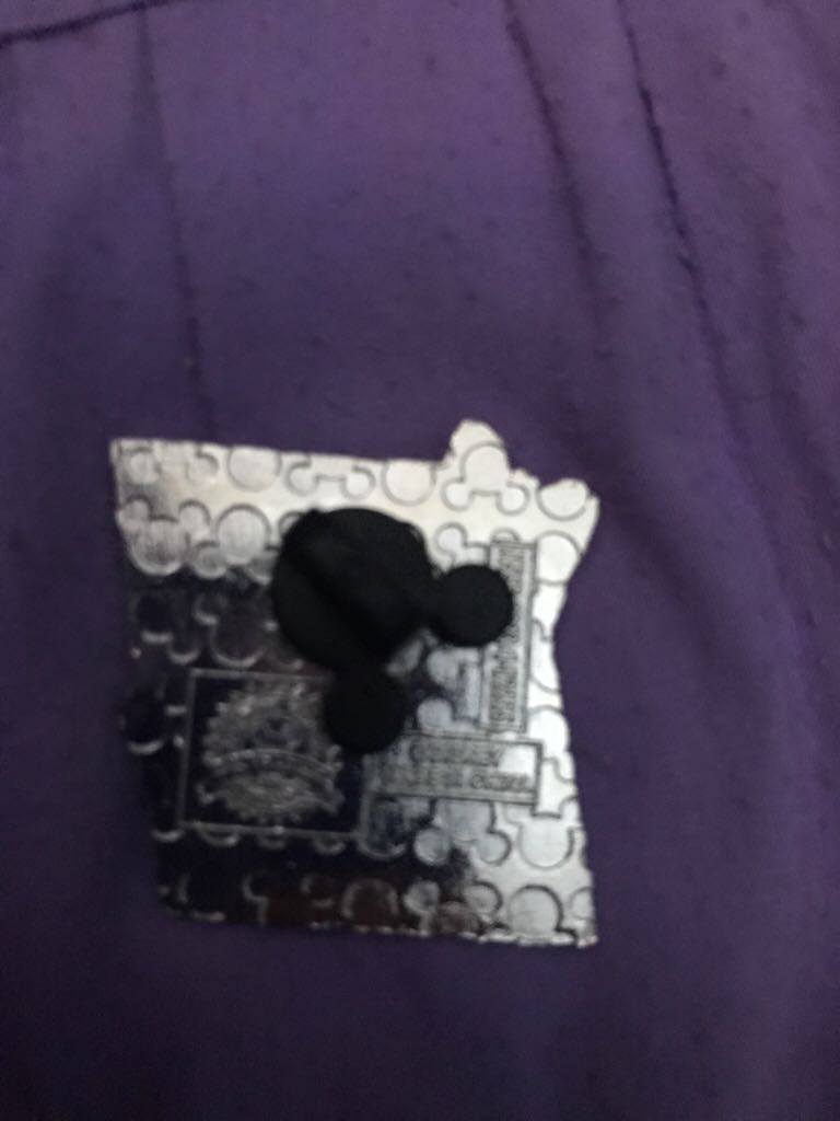 Daisy Duck  pin collectible - Main Image 2