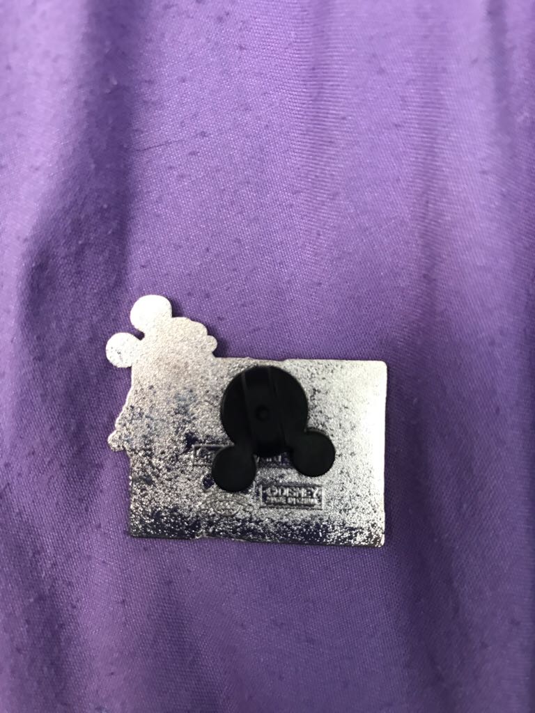 Disneyland C Coupon  pin collectible - Main Image 2