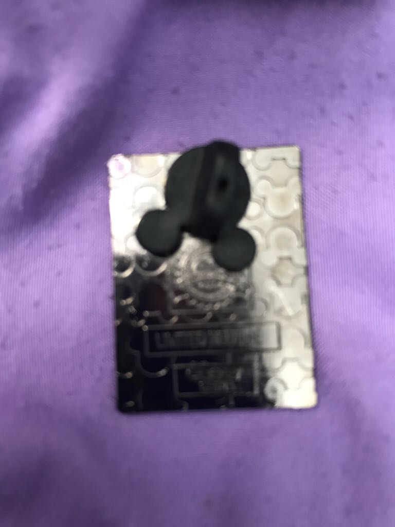 Stitch Photograph  pin collectible - Main Image 2