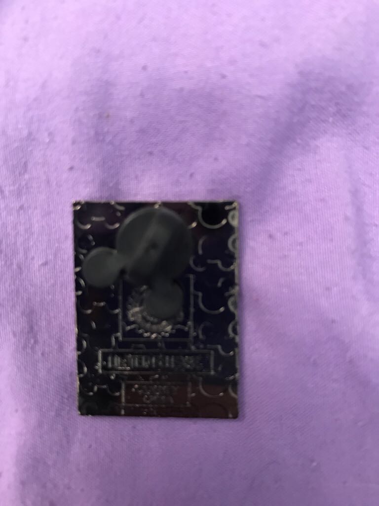 Chip & Dale Photograph  pin collectible - Main Image 2