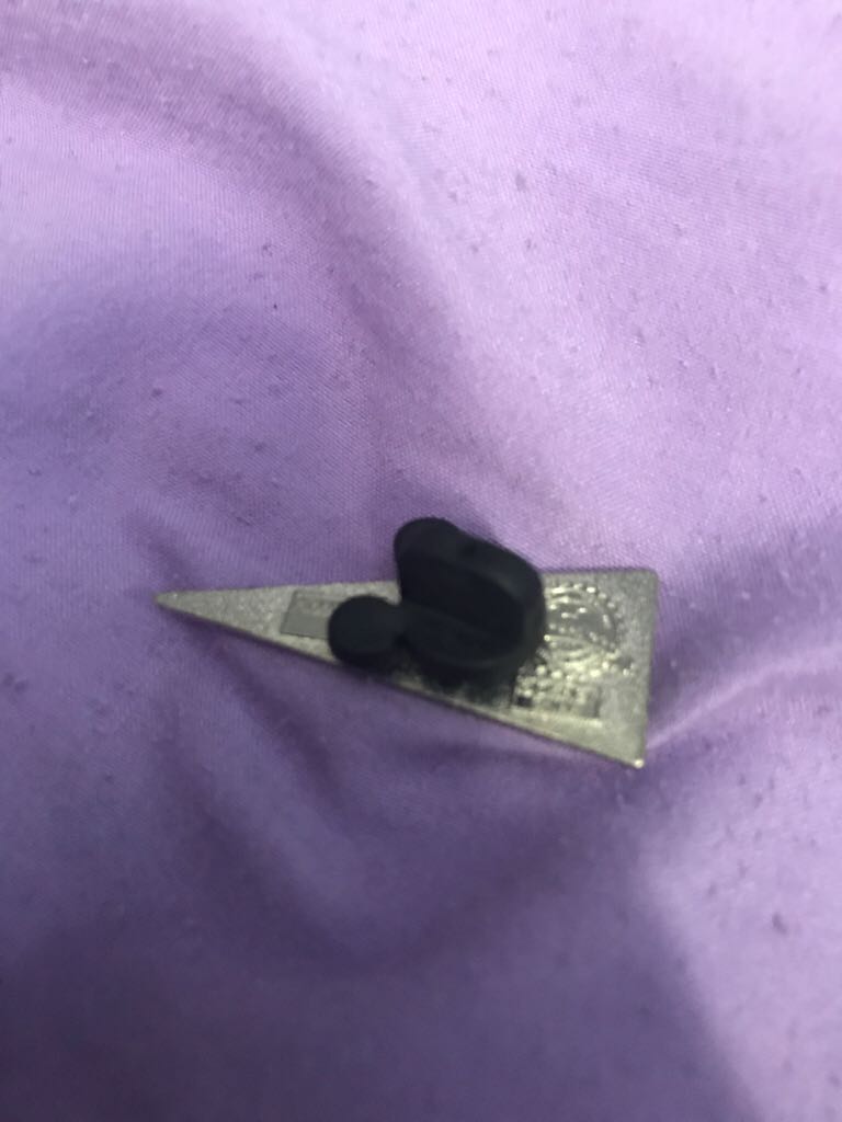 Walt Disney World Flag  pin collectible - Main Image 2