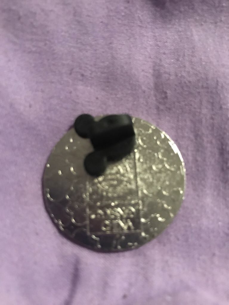 Cinderella Castle  pin collectible - Main Image 2