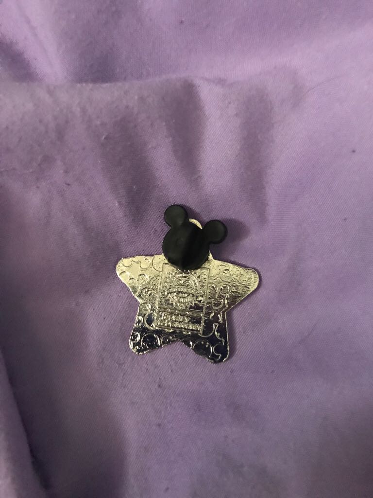 Donald Duck  pin collectible - Main Image 2