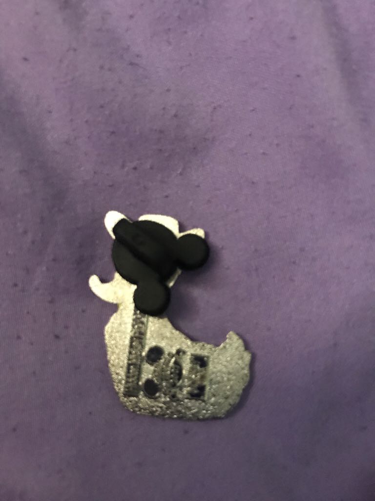 Donald Duck Pirates Of The Caribbean  pin collectible - Main Image 2