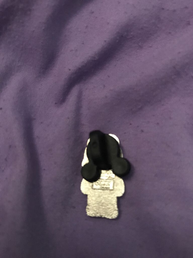 Dale  pin collectible - Main Image 2