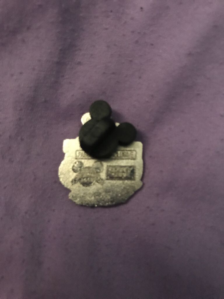 Donald Duck  pin collectible - Main Image 2