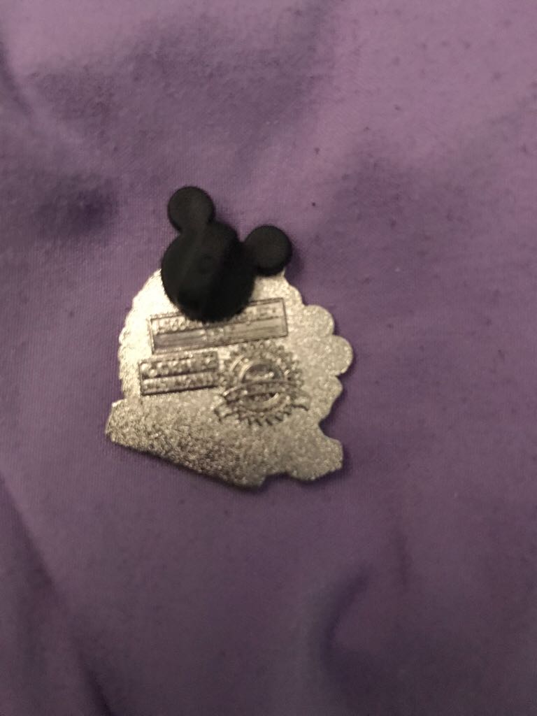North America  pin collectible - Main Image 2