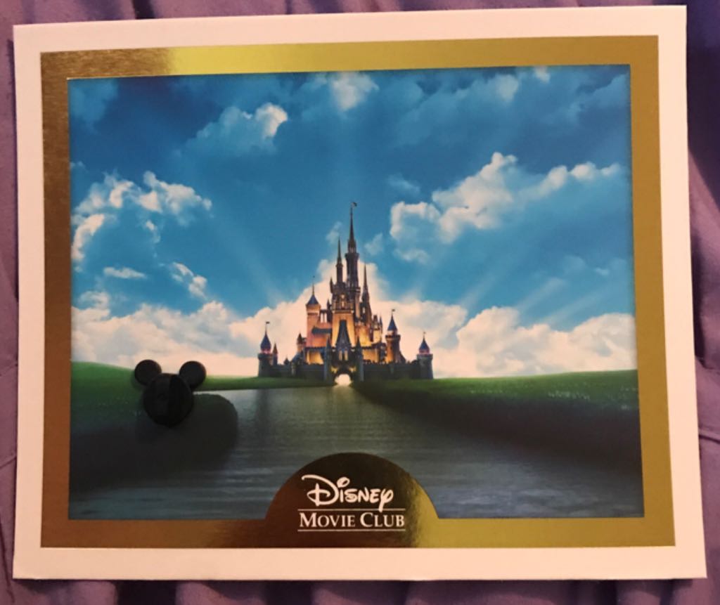 Timon And Pumbaa - Disney Movie Club pin collectible - Main Image 2