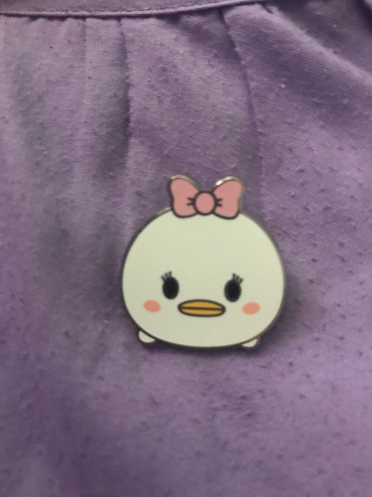 Enchanted Tiki Room - Disneyland Icons - Hidden Mickey