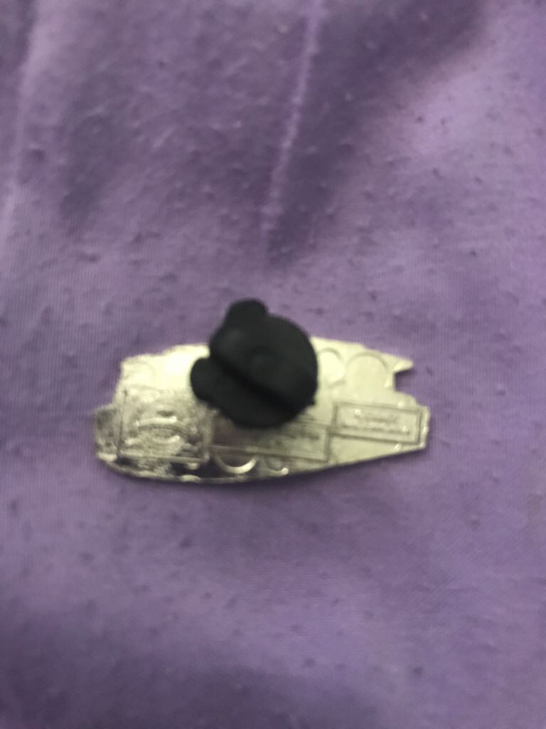 Ferry Chaser  pin collectible - Main Image 2