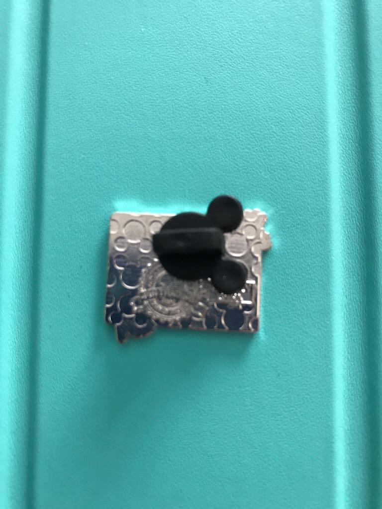 Pirate Flag  pin collectible - Main Image 2