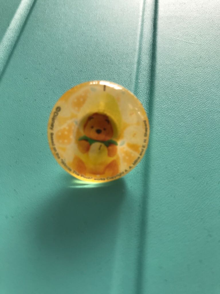 Harley-Davidson Pins