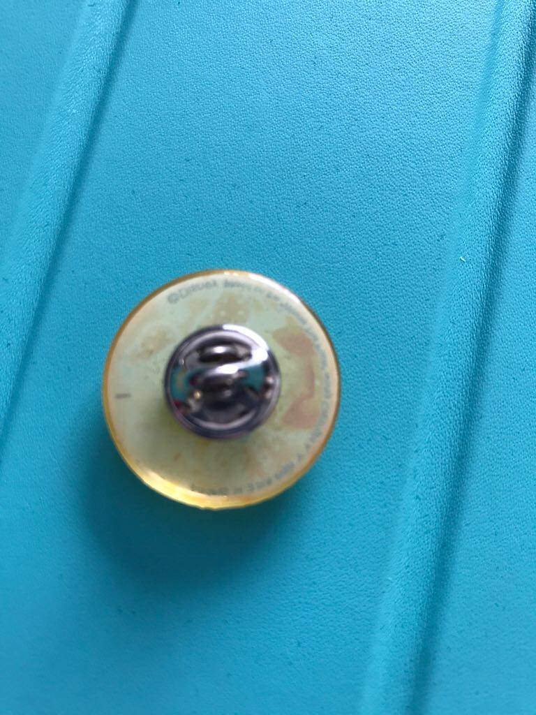 Winnie The Pooh - Pin pin collectible - Main Image 2