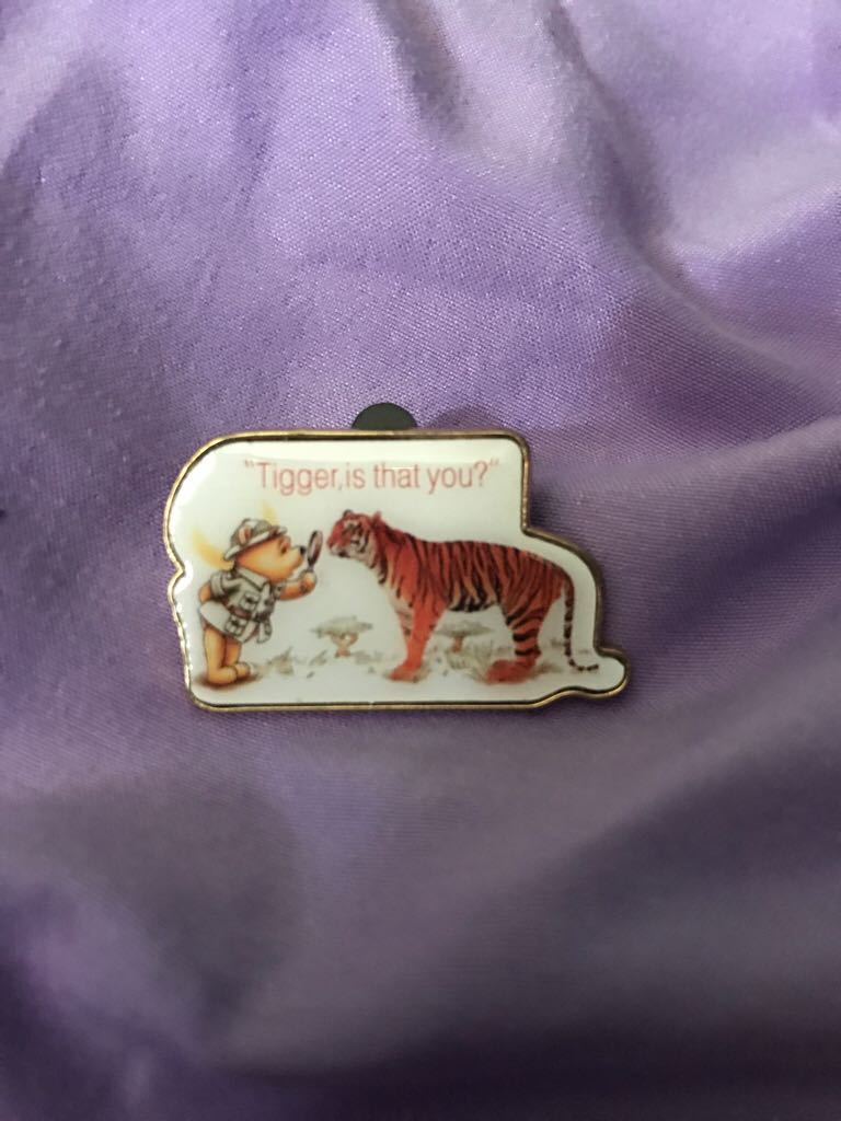 San Diego Beach House California Surfboard Hibiscus