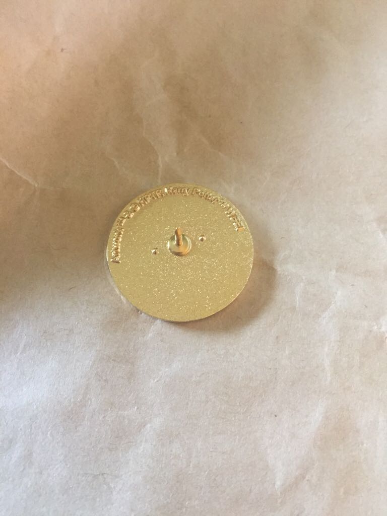 Harry Potter Cursed Child Logo  pin collectible - Main Image 2