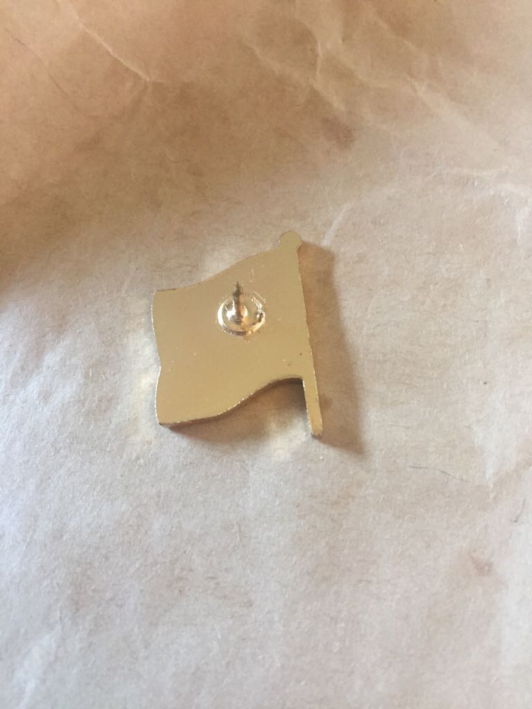 Irish Flag  pin collectible - Main Image 2