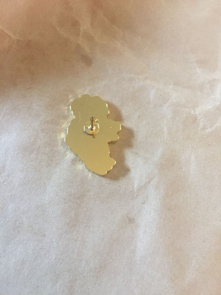 Ireland Map  pin collectible - Main Image 2