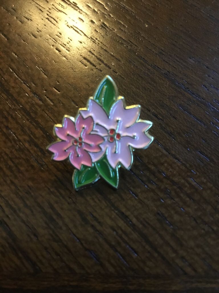 Hollywood Handprints Footprints Walk Of Fame