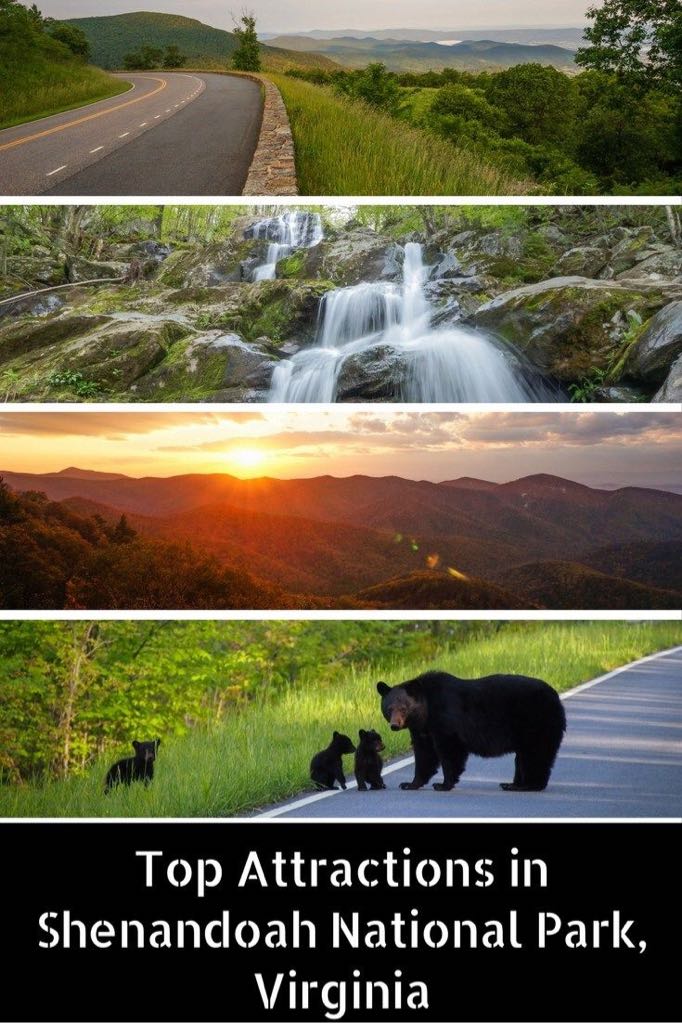 Shenandoah National Park - Pin pin collectible [Barcode 999992386417] - Main Image 2