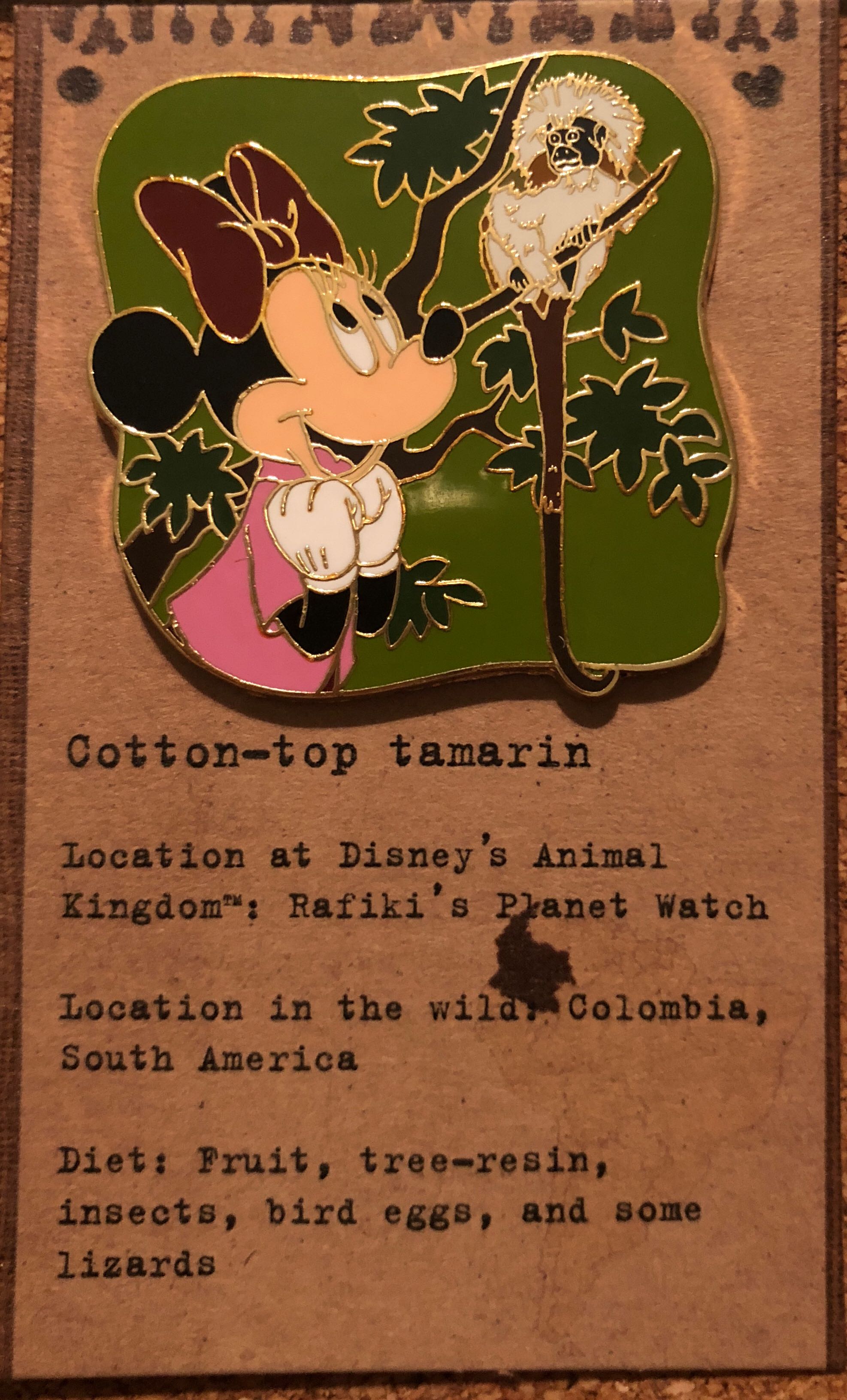 Character Alphabet Mystery Collection - R - Rapunzel