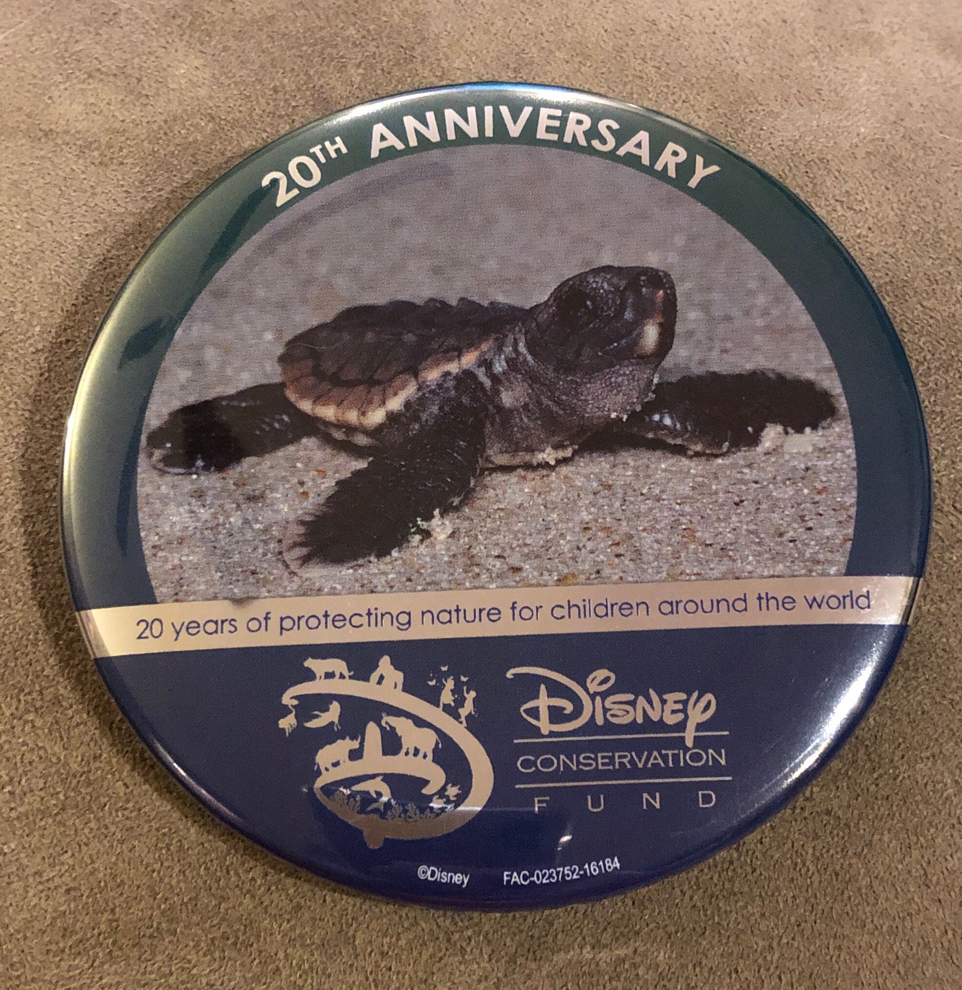 Princess Banner Pin - Rupunzal