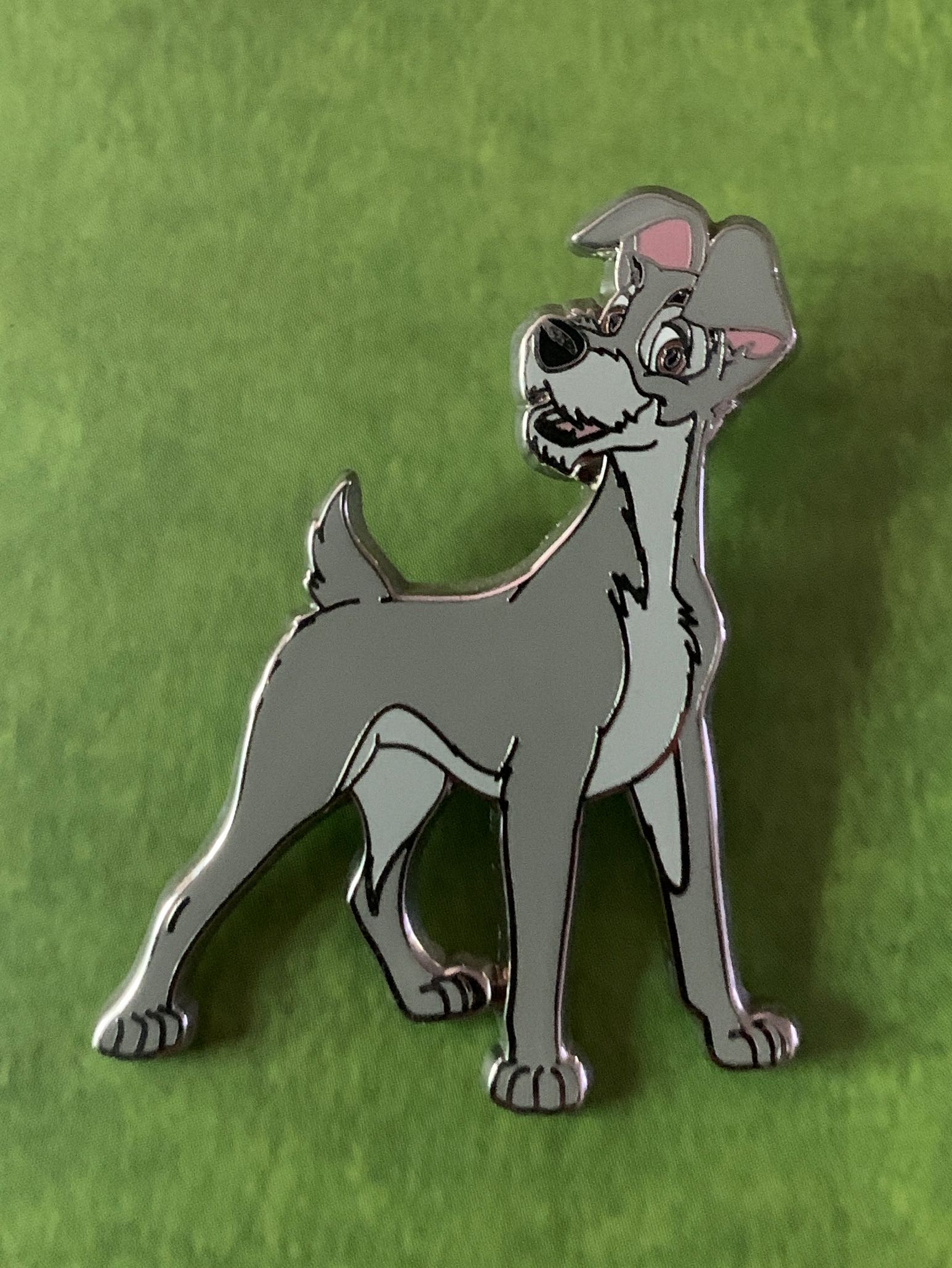 Rapter Team - Charlie