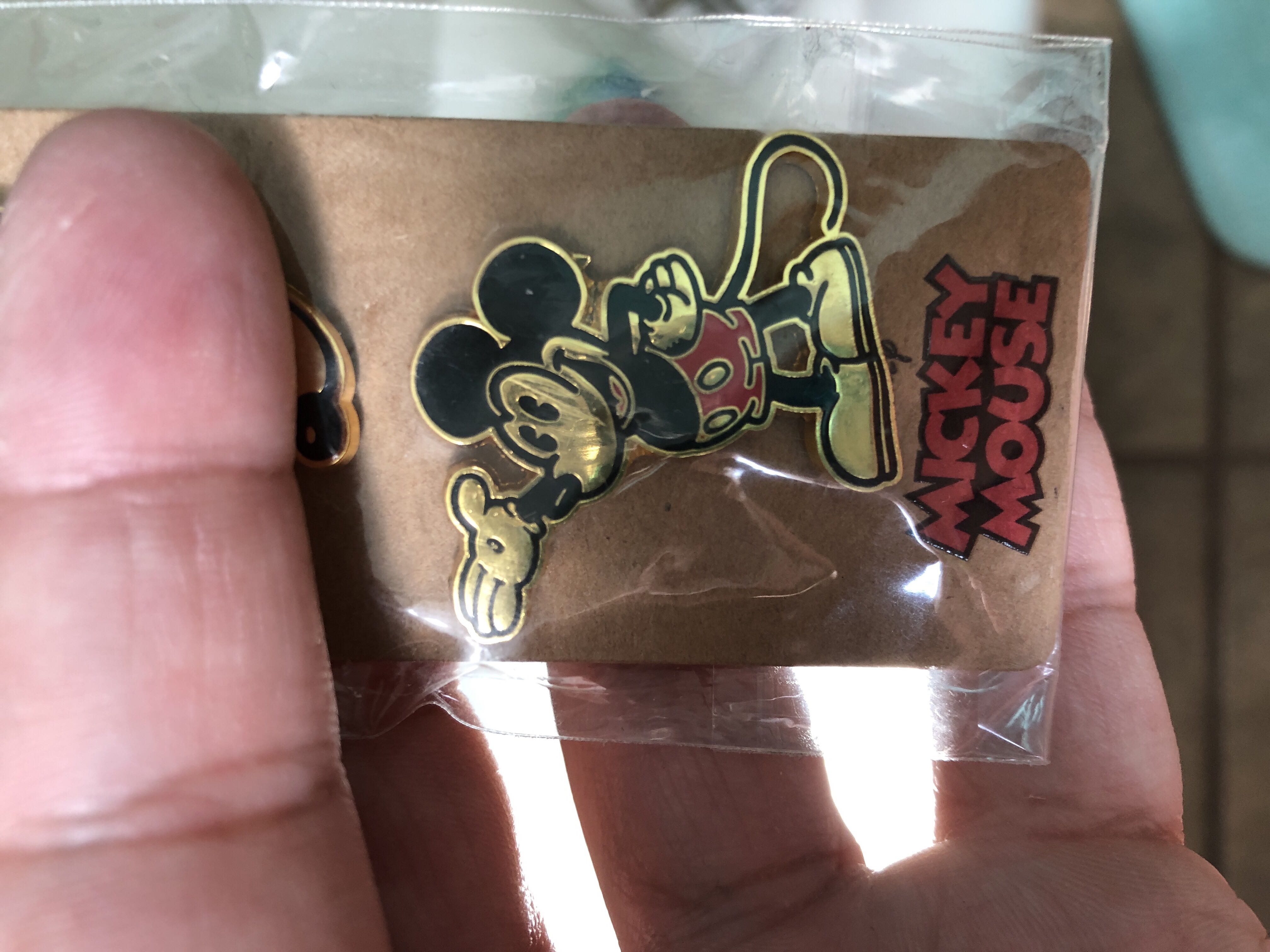 Rock ‘n’ Roller Coaster