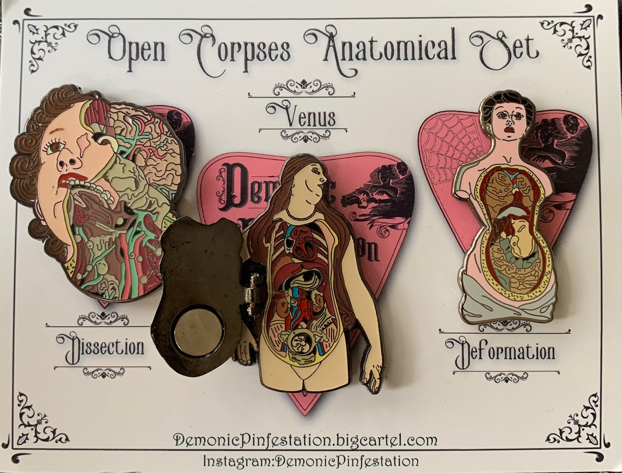 Open Corpes Anatomical Set  pin collectible - Main Image 2