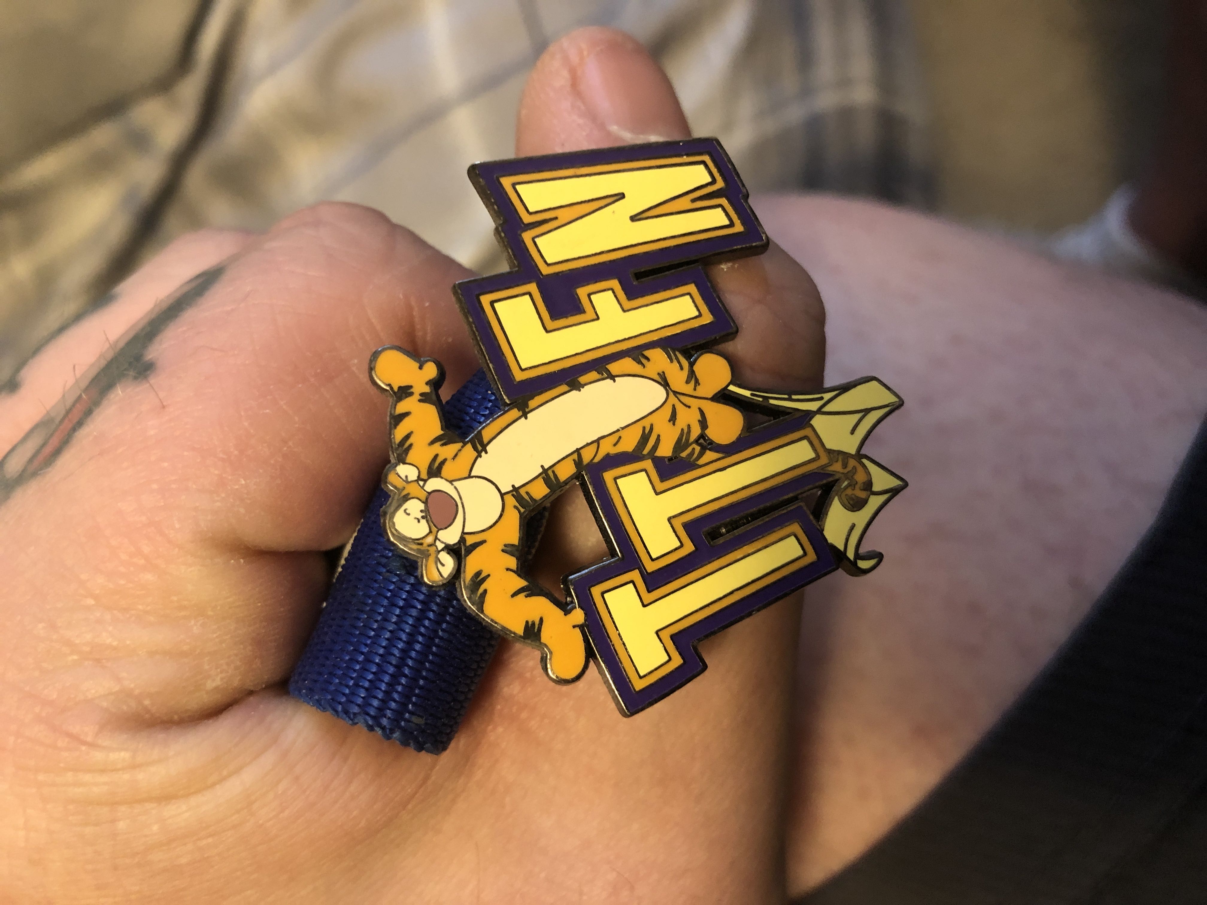 2012 Disneyland Resort Year Pin