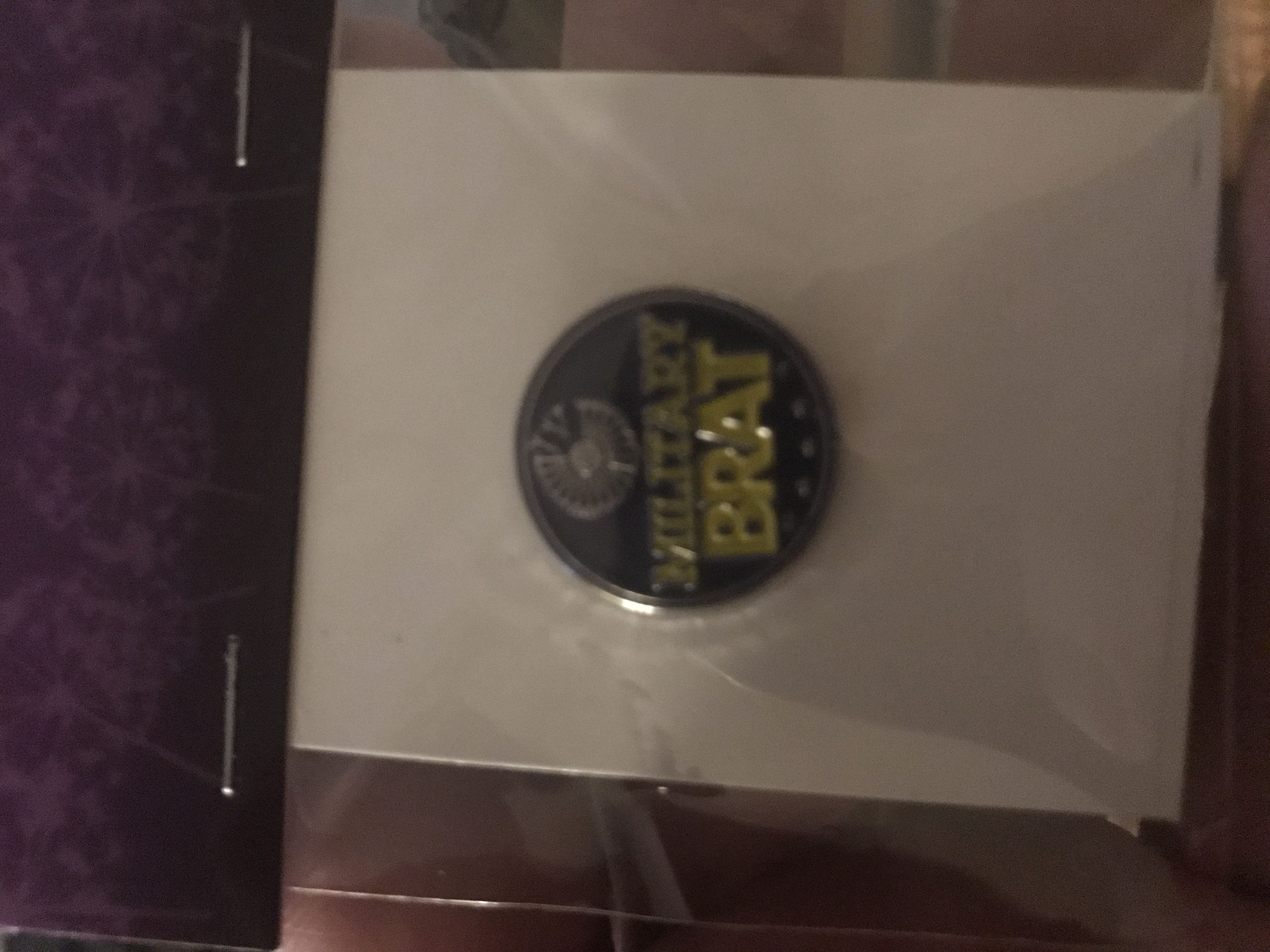 Peter Pan - Disney Cruise Line Hook