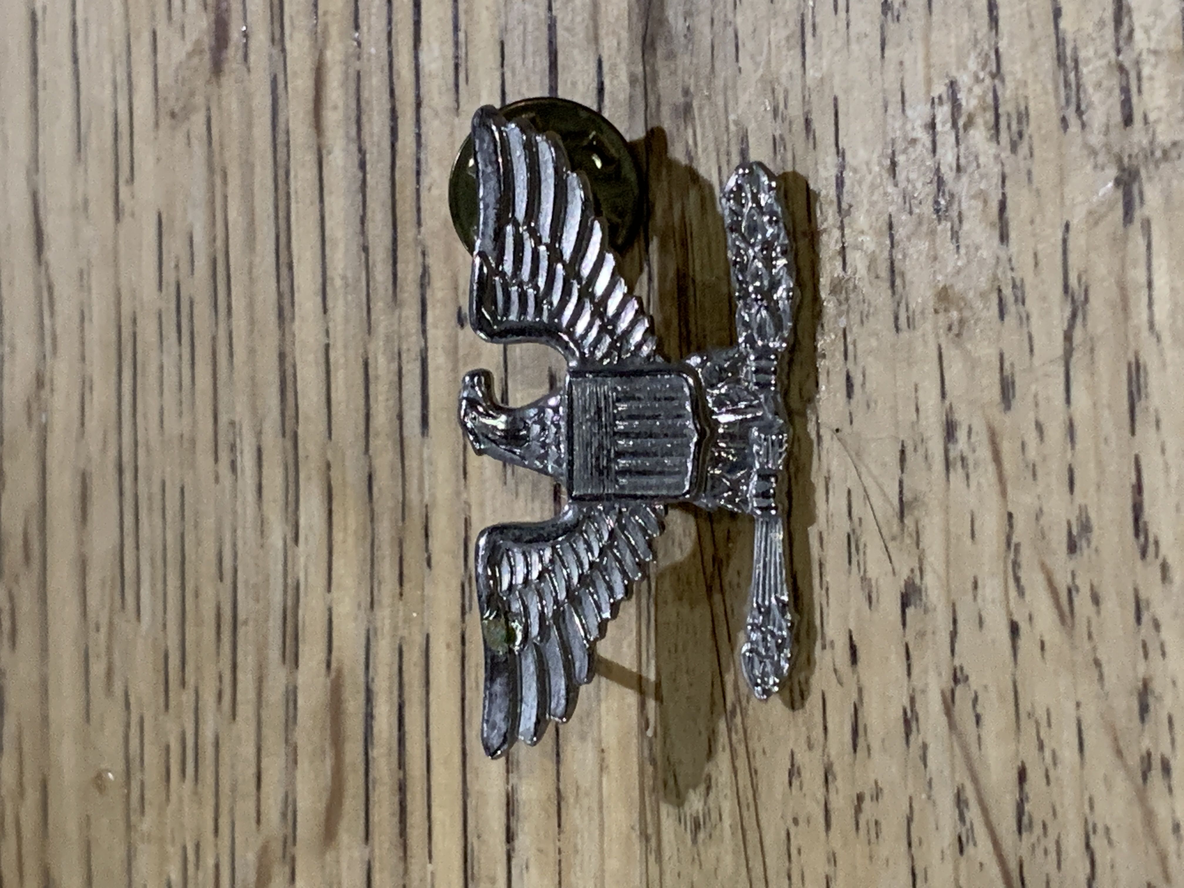 Hidden Mickey Pascal Chameleon