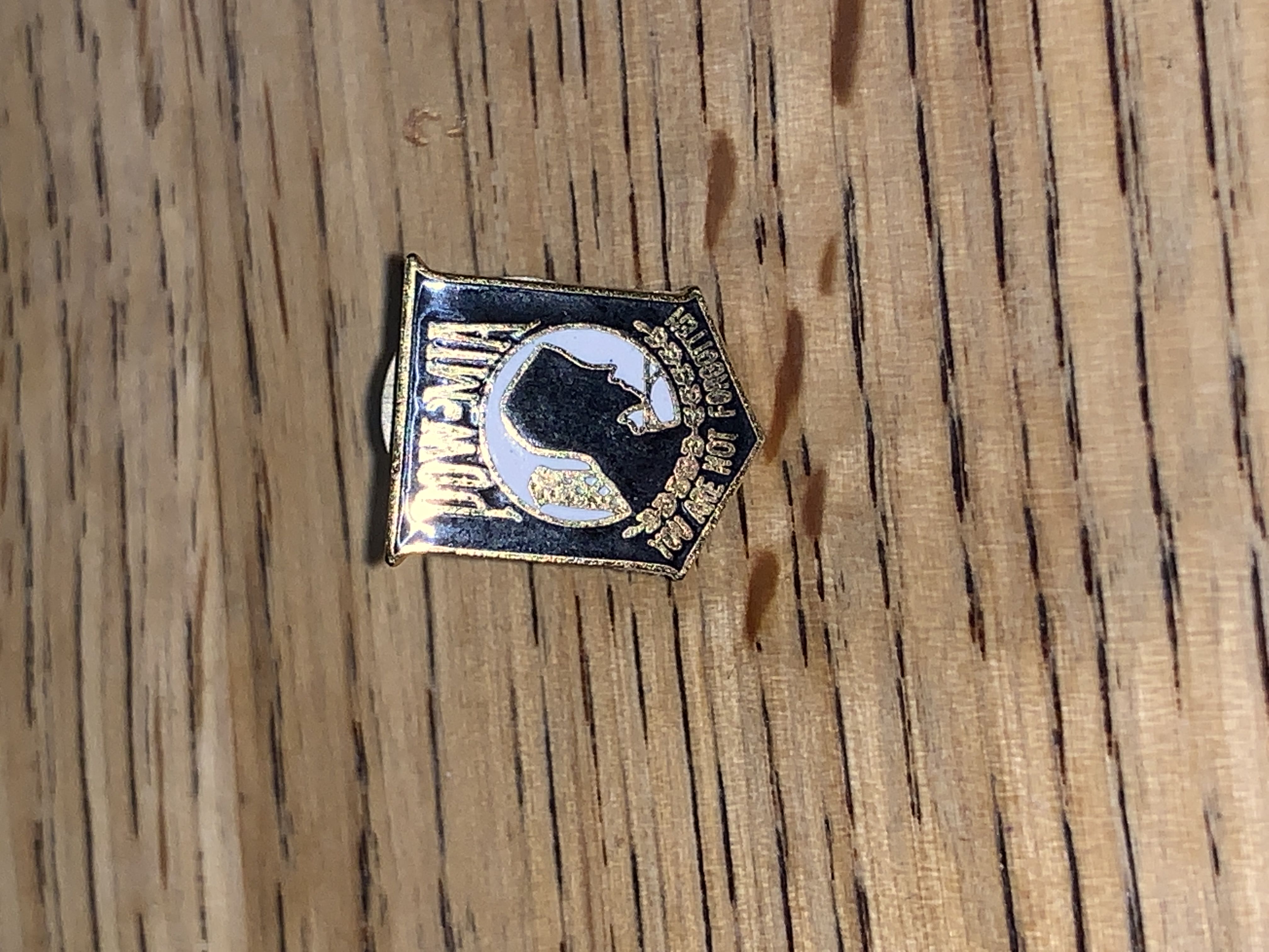 Hidden Mickey Chip Stars And Stripes Shield