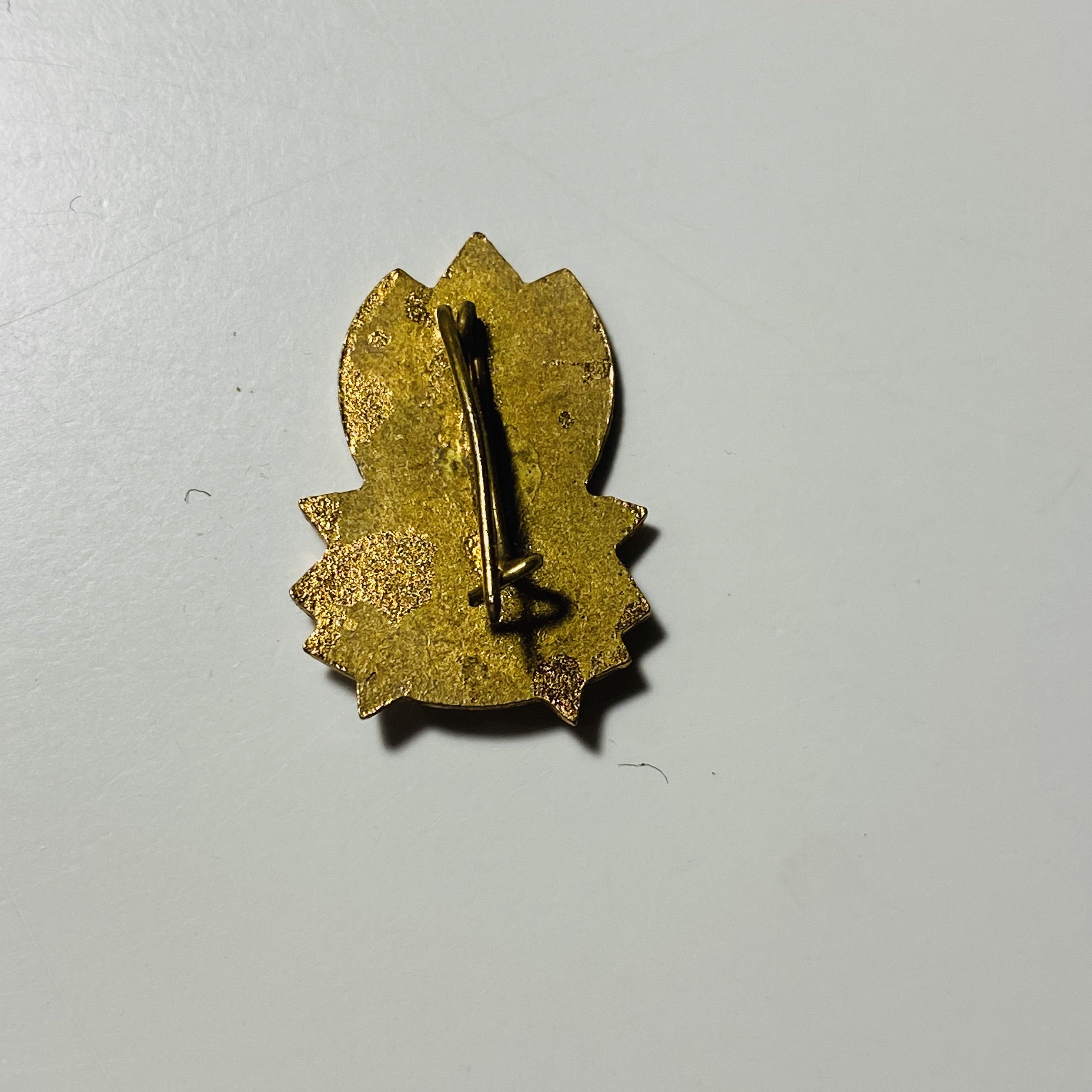 БУДЬ ГОТОВ БОЛГАРИЯ - ПИОНЕРИЯ pin collectible - Main Image 3