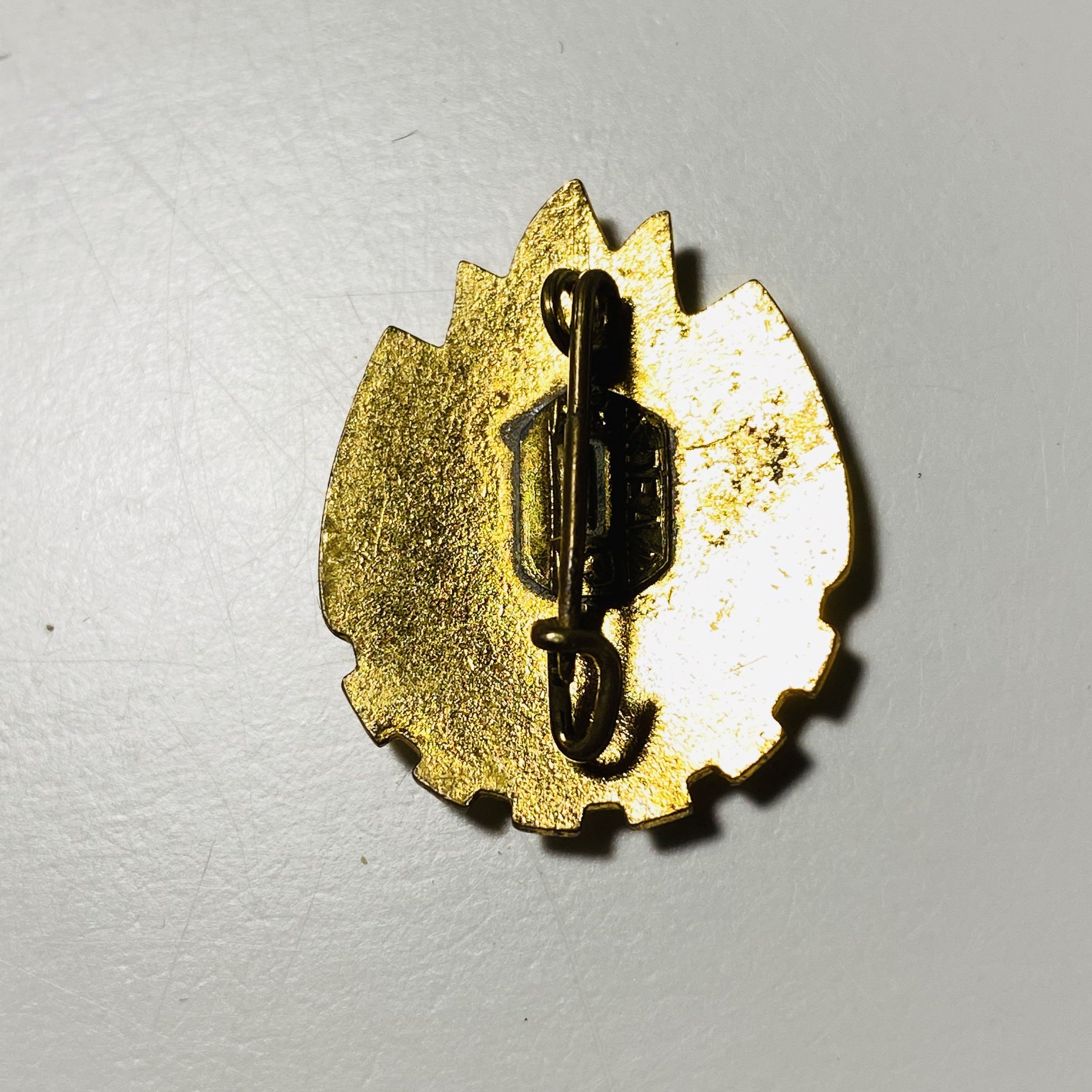 БУДЬ ГОТОВ РУМЫНИЯ - ПИОНЕРИЯ pin collectible - Main Image 3