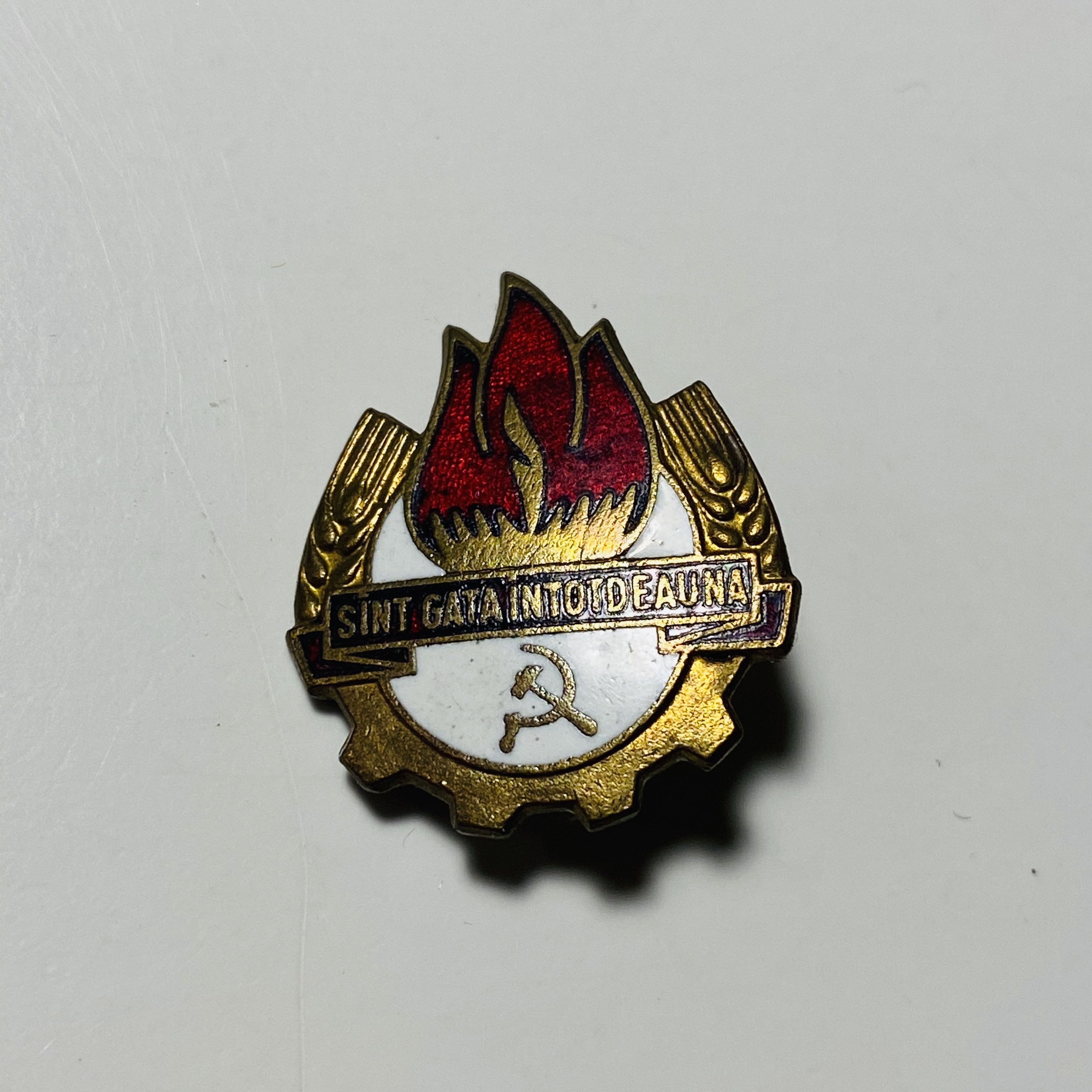 Lady Portrait Pin – Lady and the Tramp