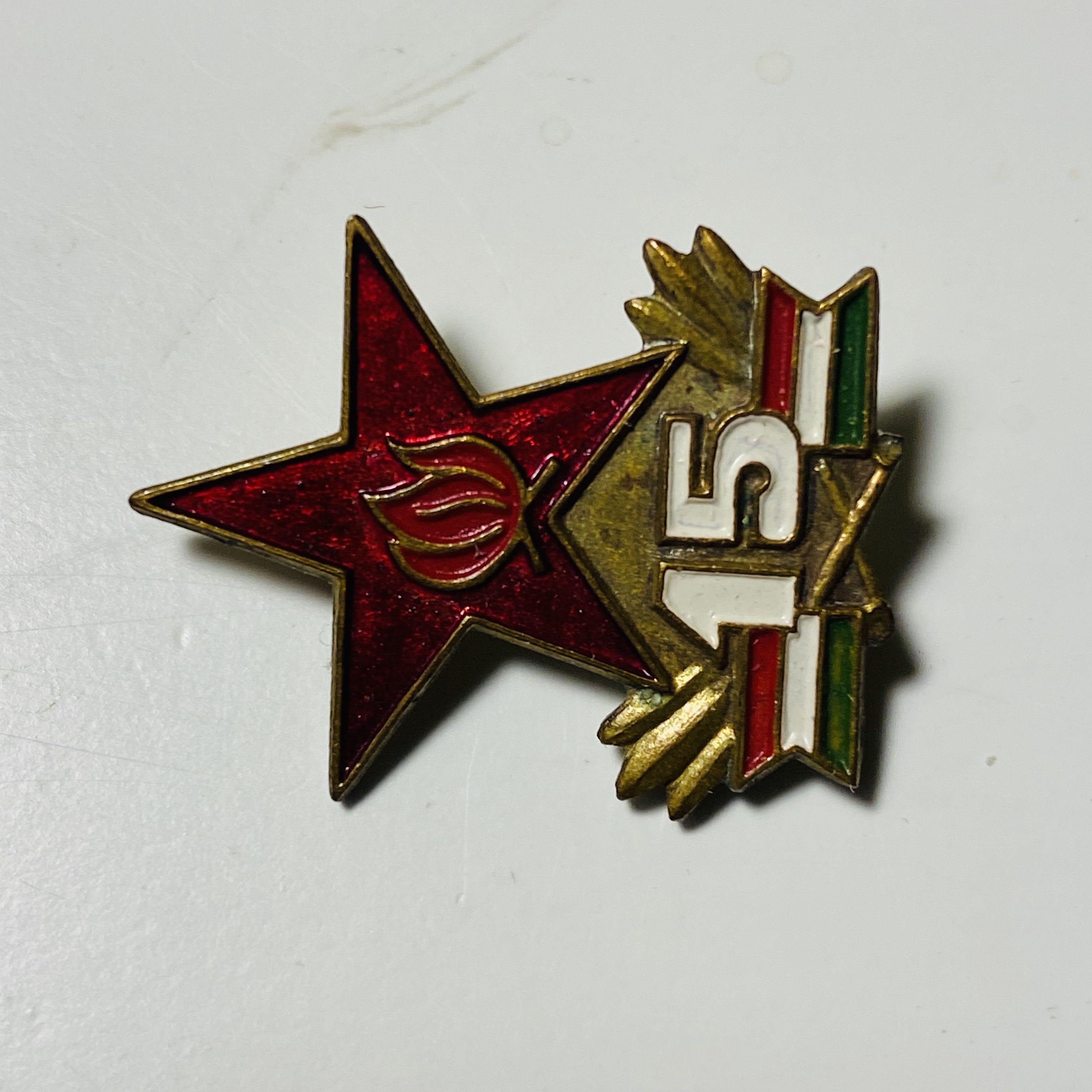 БУДЬ ГОТОВ РУМЫНИЯ  - ПИОНЕРИЯ pin collectible - Main Image 2