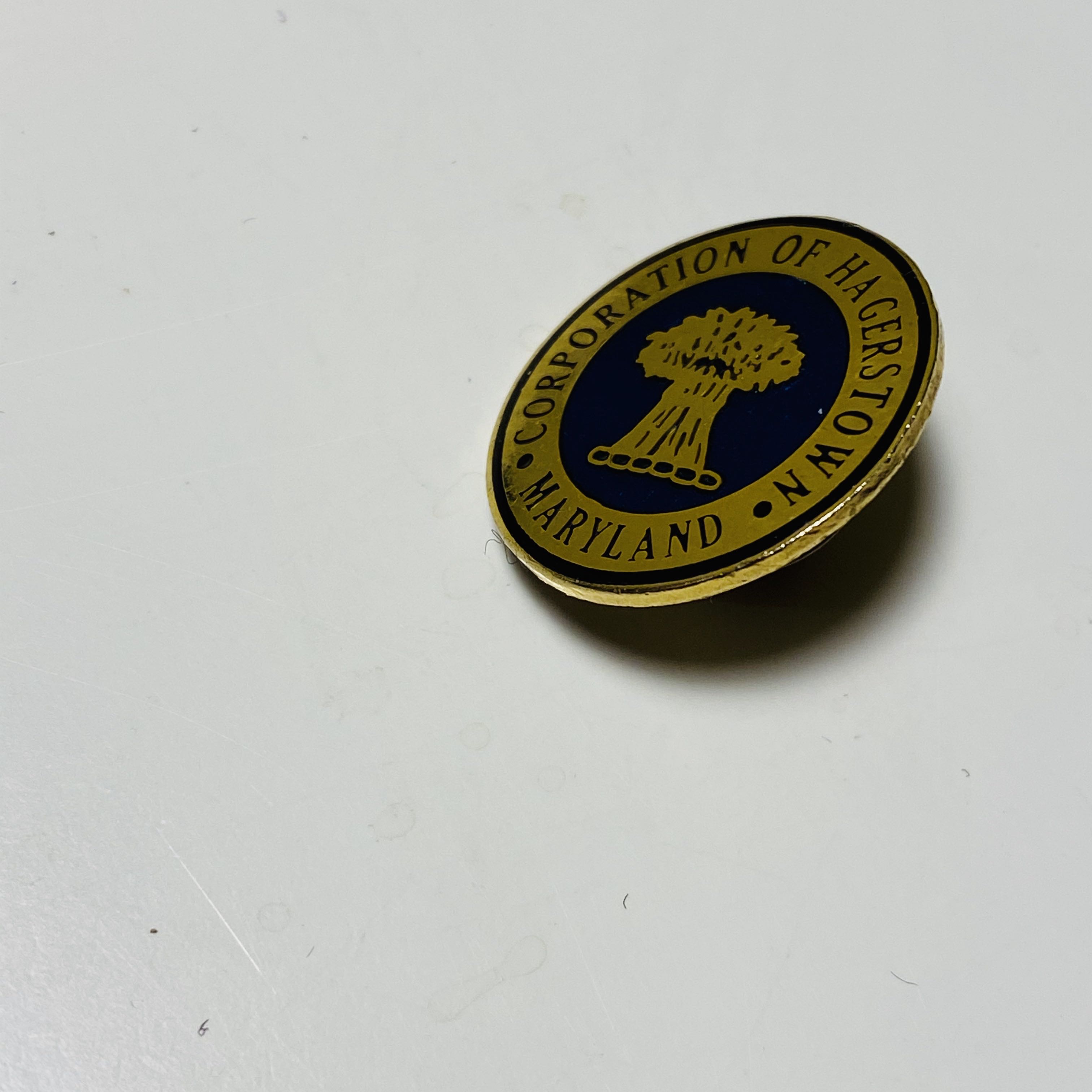 D60 Celebration Stained Glass Sleeping Beauty Castle