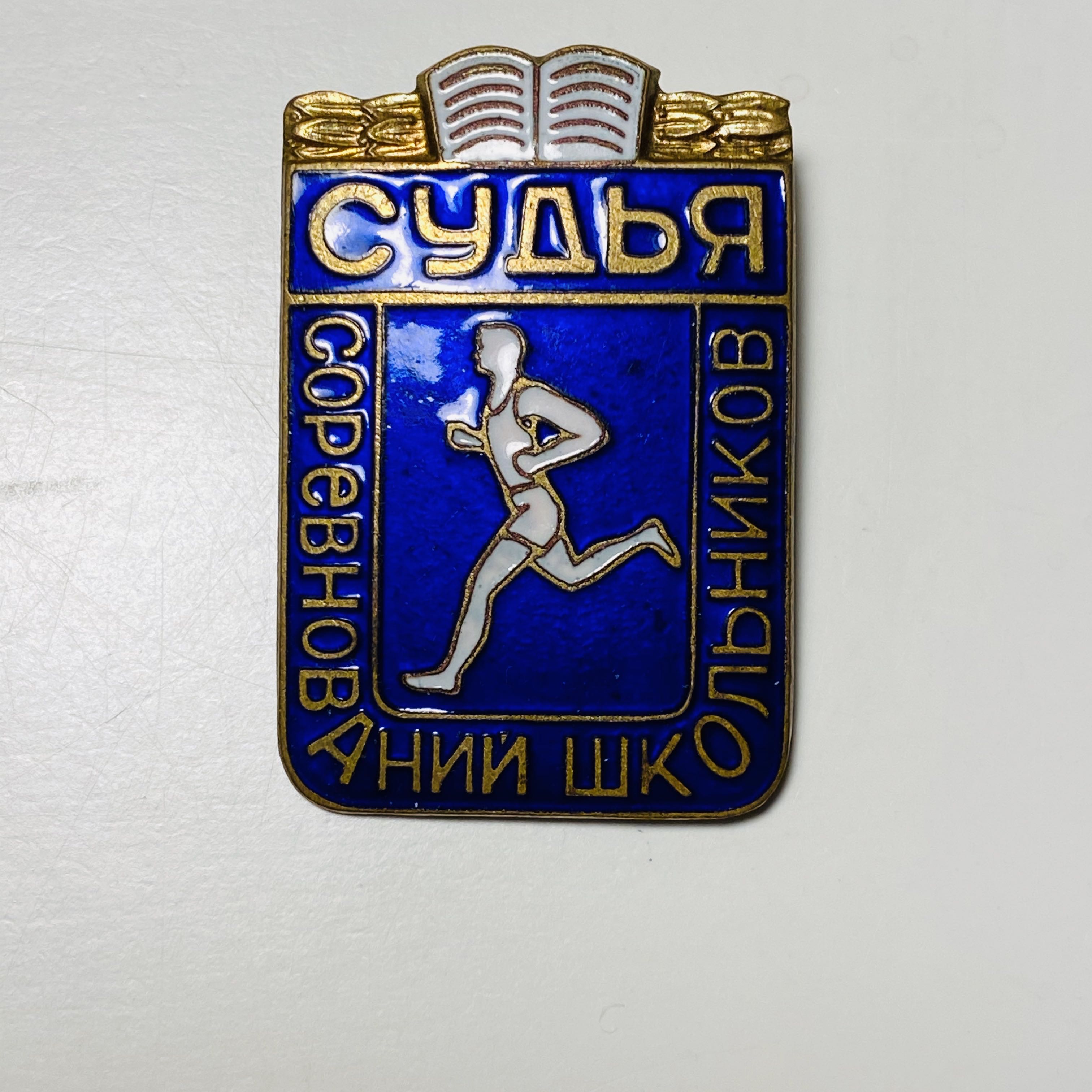 MLB Hall Of Fame 1981 Pin