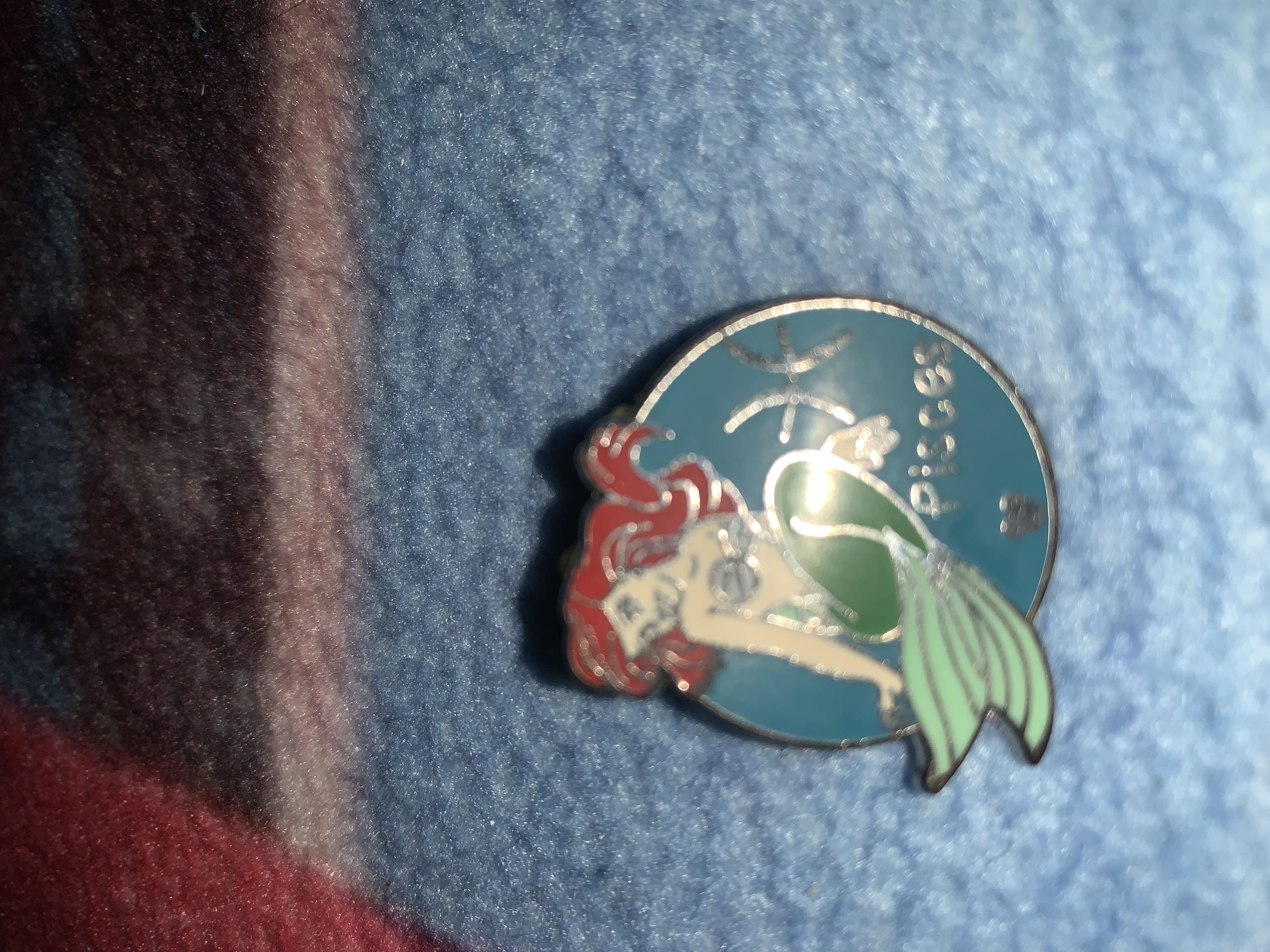 Rock ‘n’ Roller Coaster