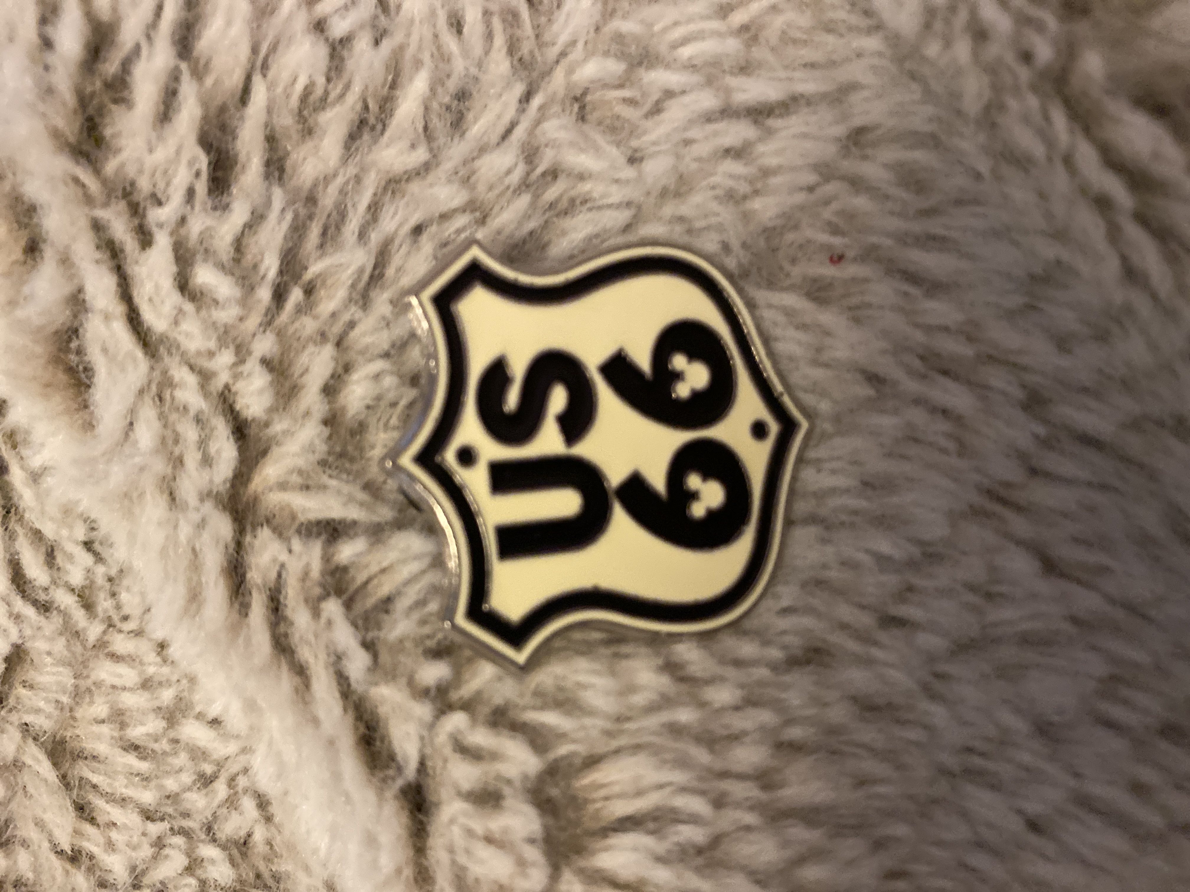 Disney Cruise Line - Whole Gang 