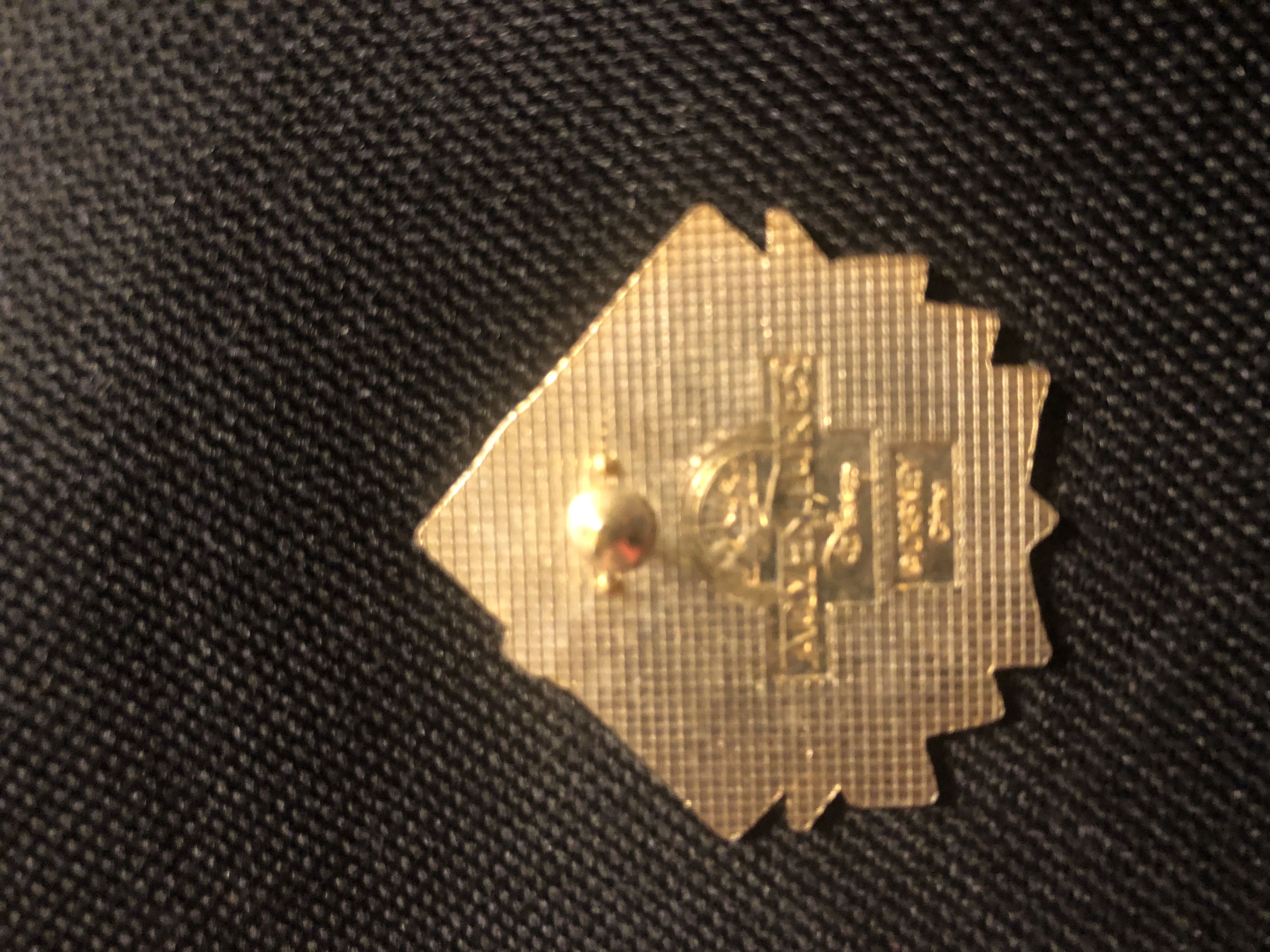 Behind The Orange Grove  pin collectible - Main Image 2