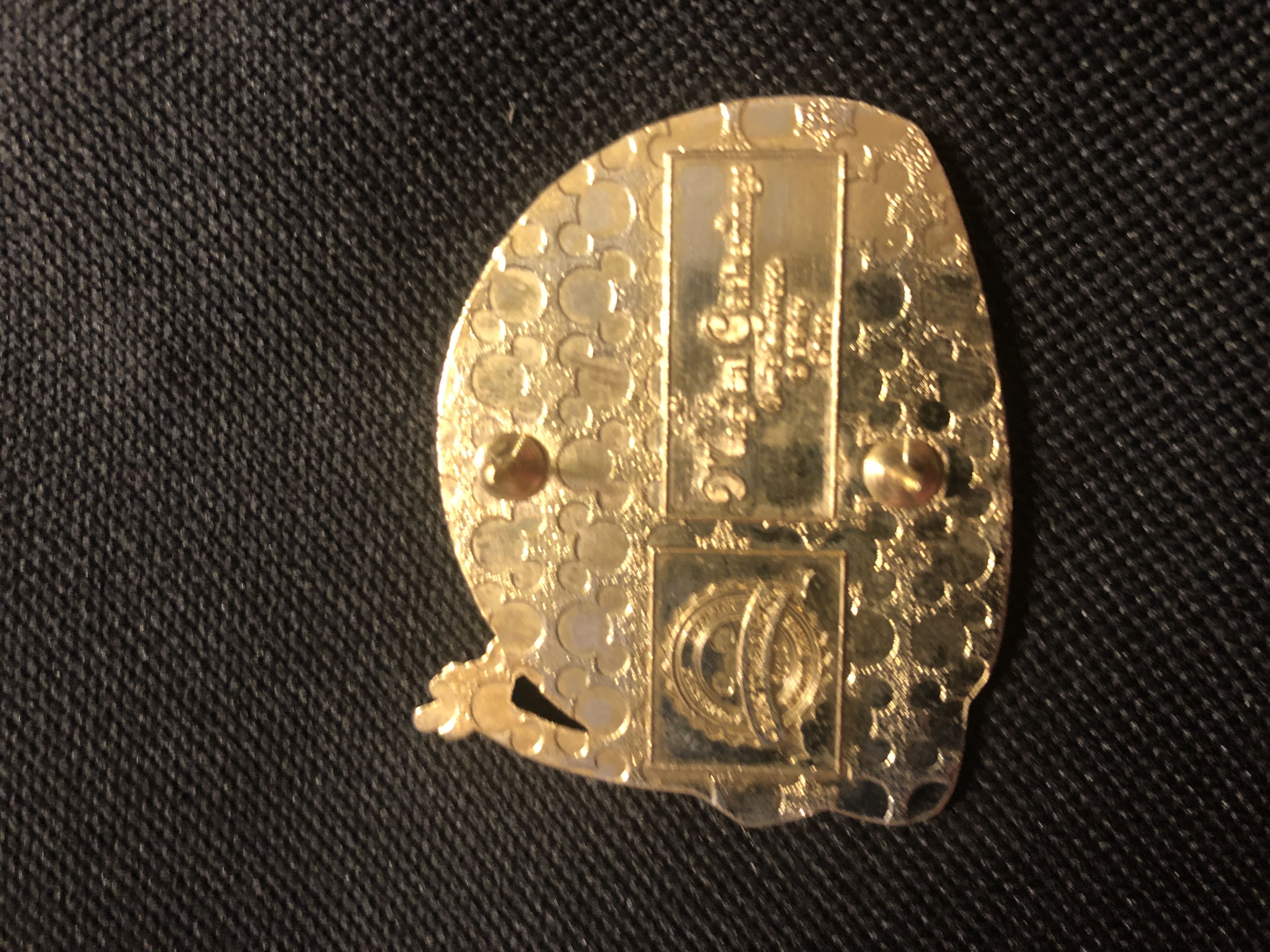 Disney’s Animal Kingdom - Safari Celebration  pin collectible - Main Image 2