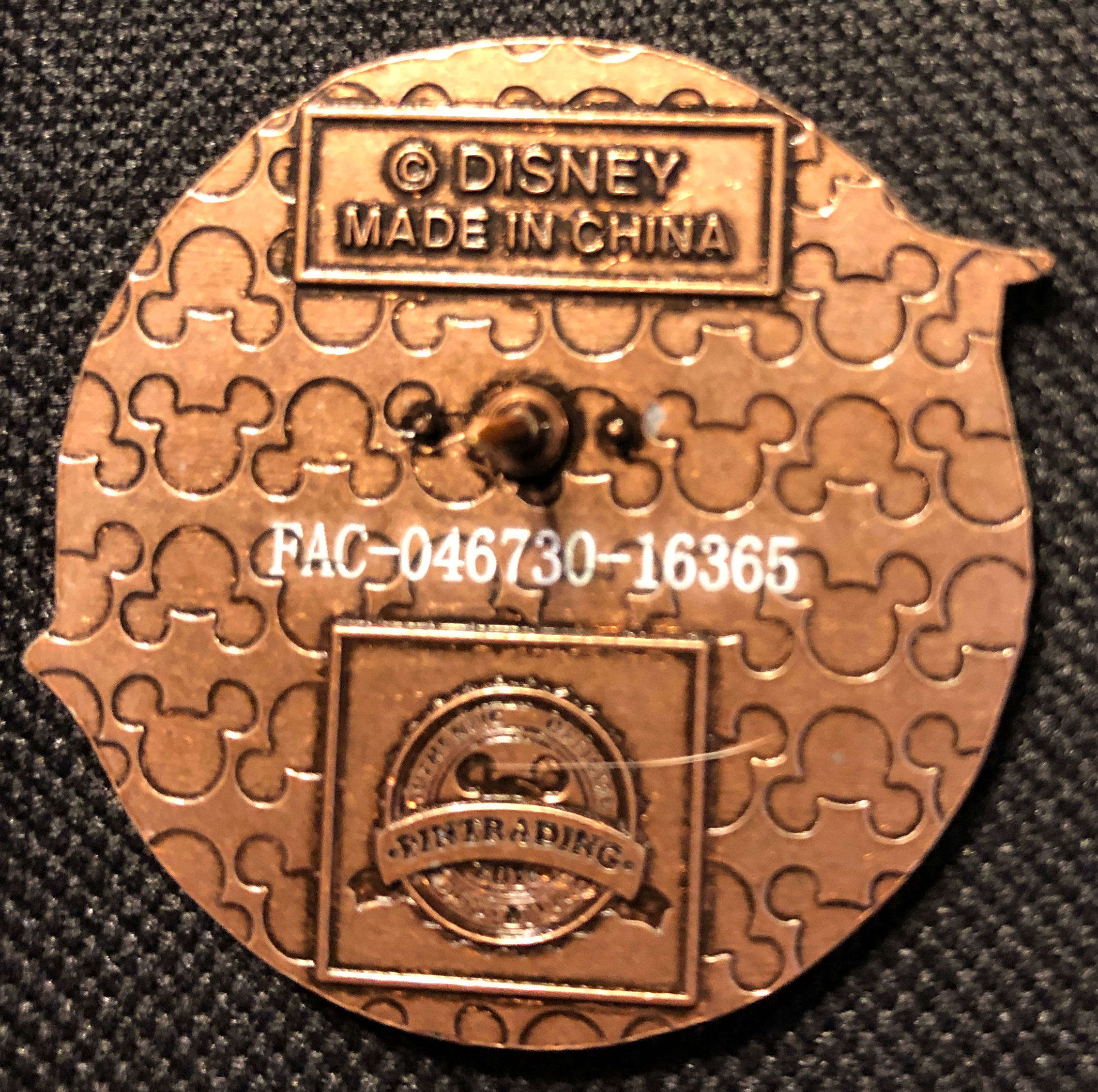 WDW Railroad  pin collectible - Main Image 2