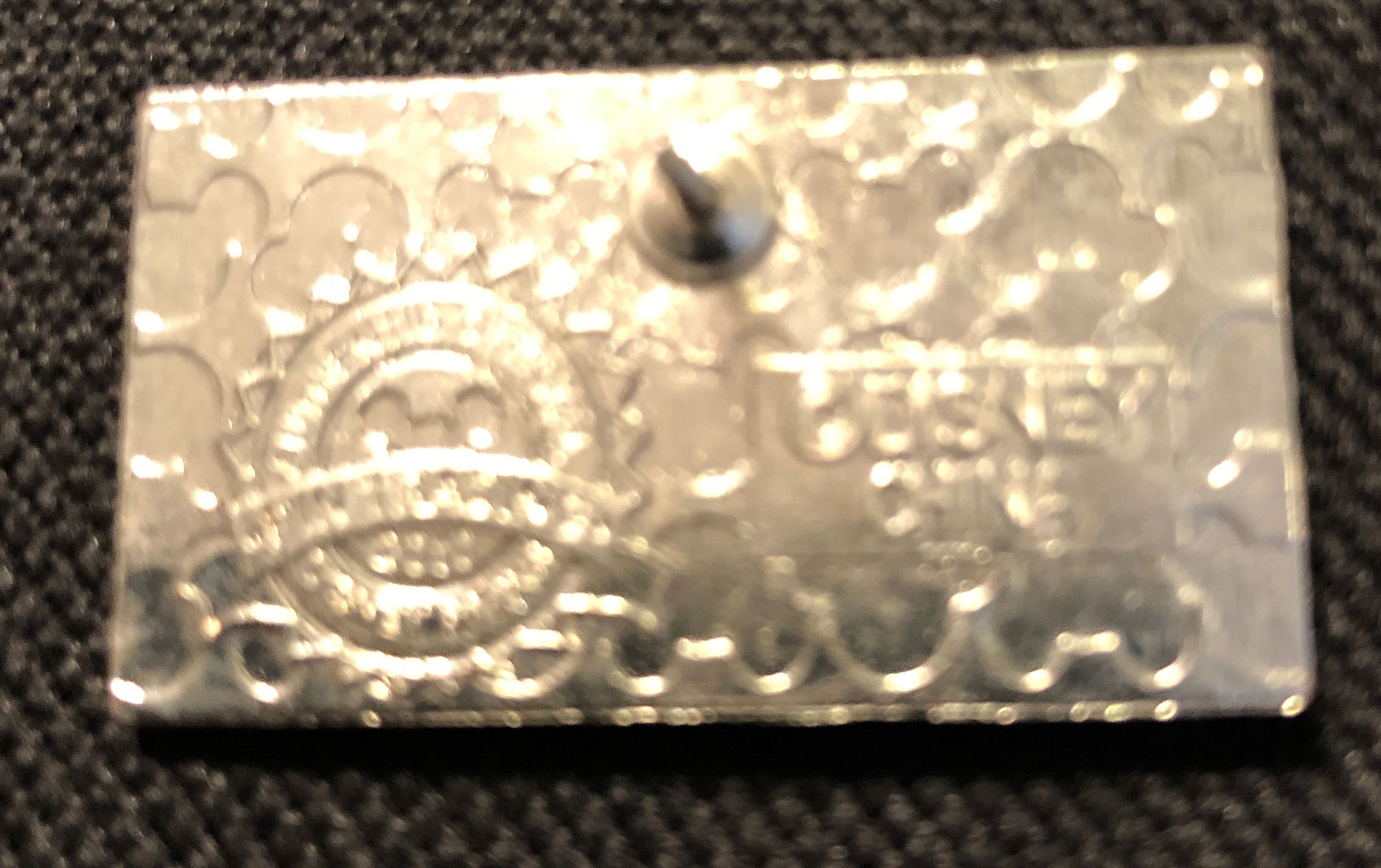 Space Mountain License Plate  pin collectible - Main Image 2