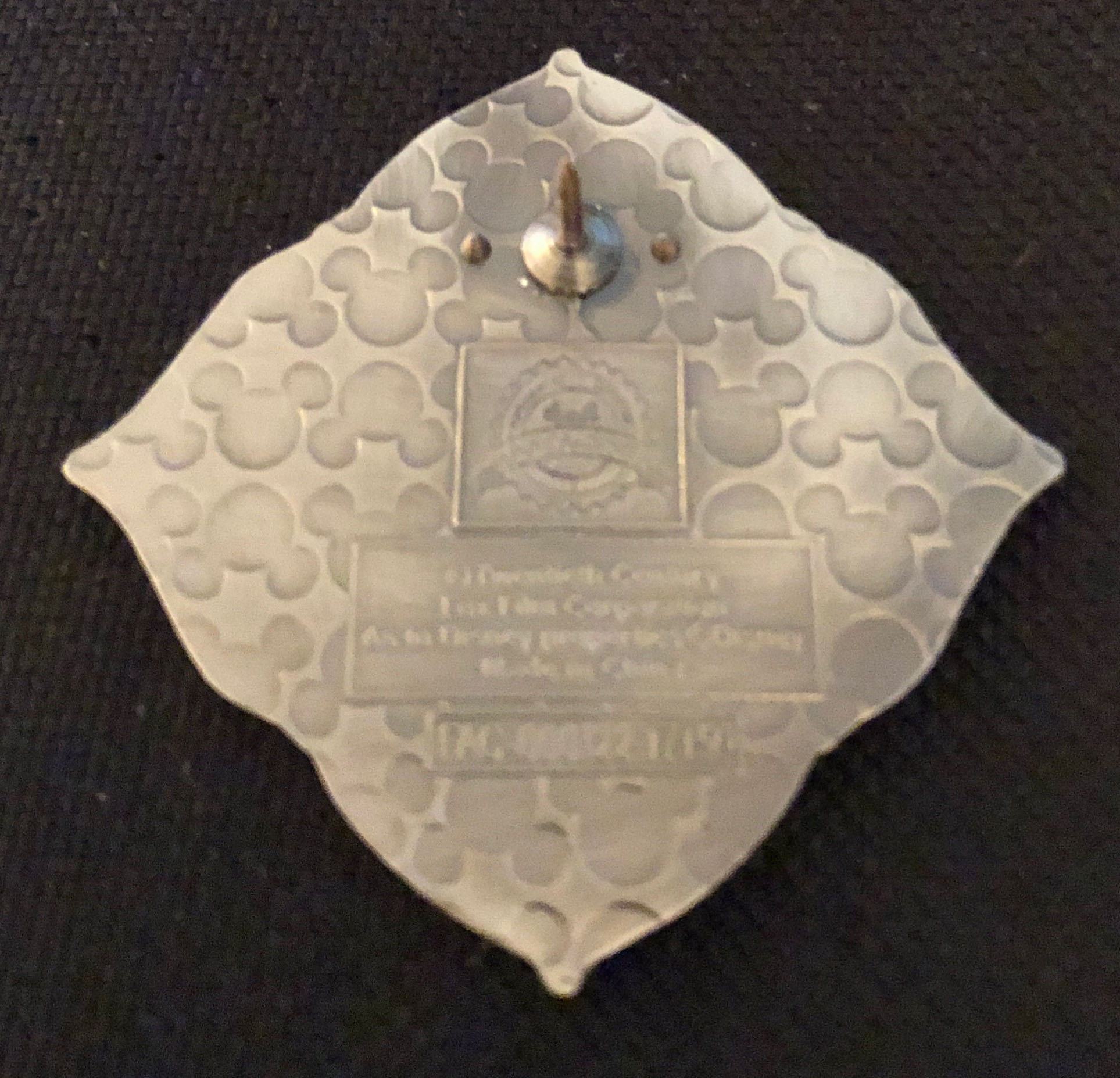 Navi River Journey  pin collectible - Main Image 2