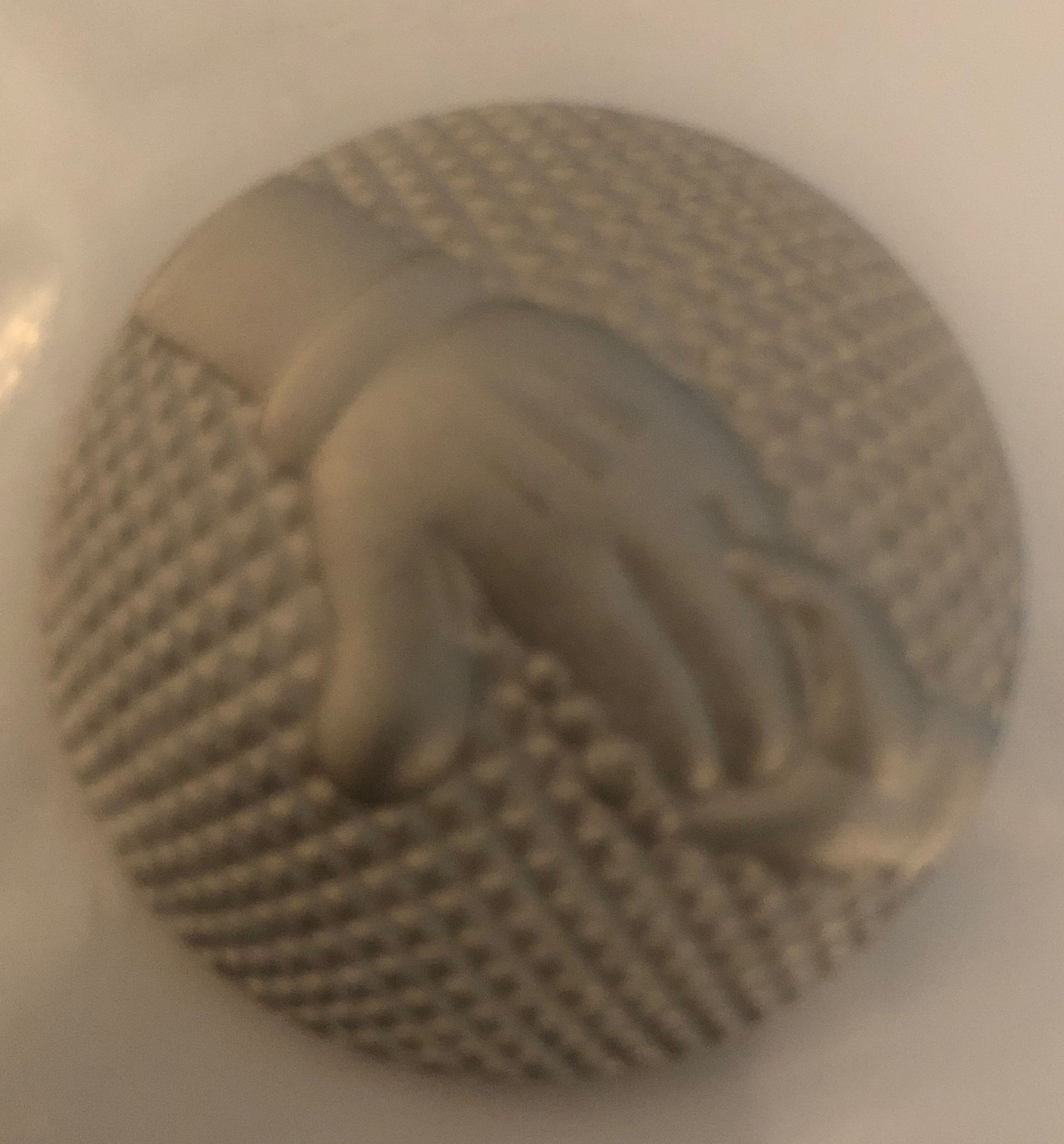 Millenium Celebration Cast Pin - Cast Member Exclusive pin collectible - Main Image 2