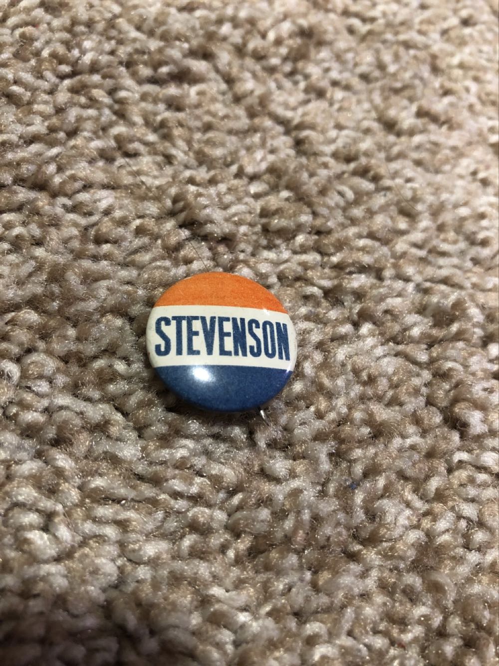 Donald Duck - Tiki Room